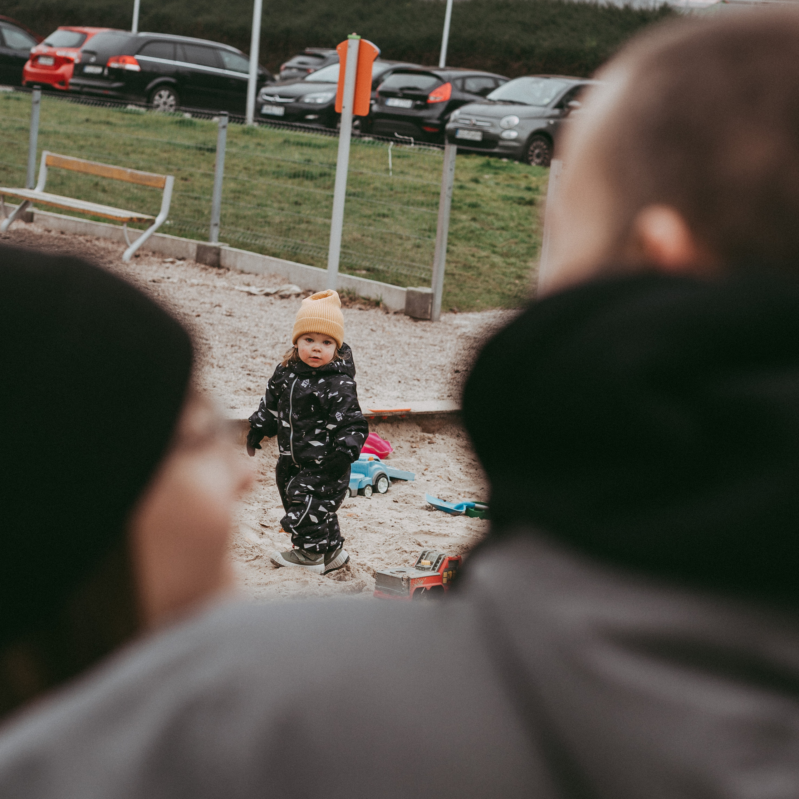 Лев (2 годика)