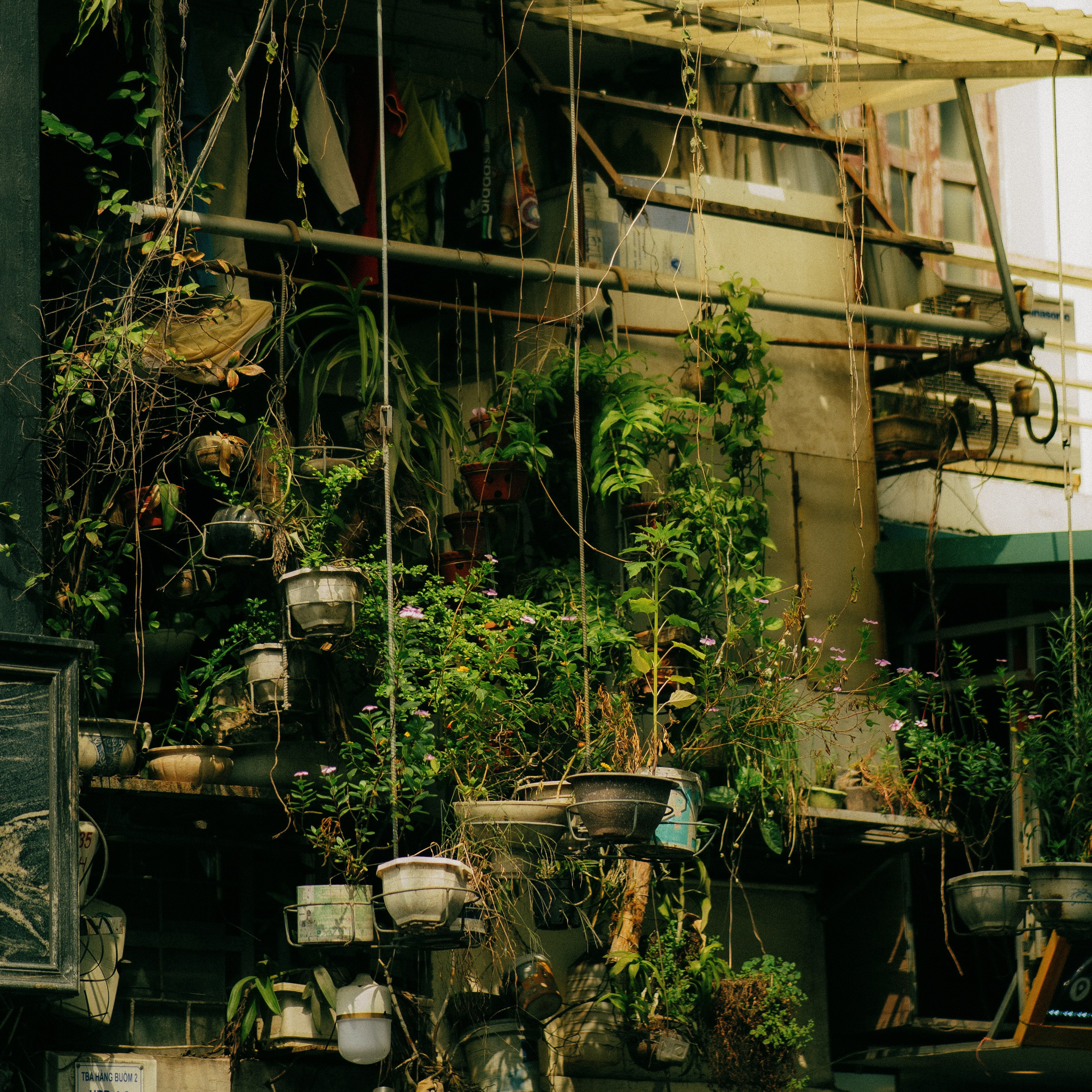 Hanoi. Lifestyle and wedding photographer in Dubai Valeria Kikvidze