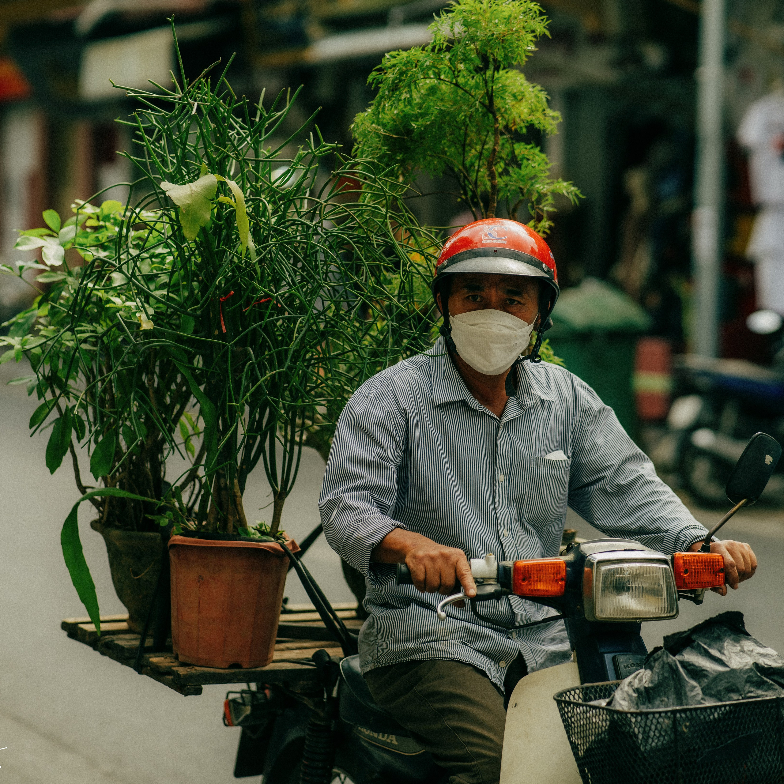 Hanoi. Lifestyle and wedding photographer in Dubai Valeria Kikvidze