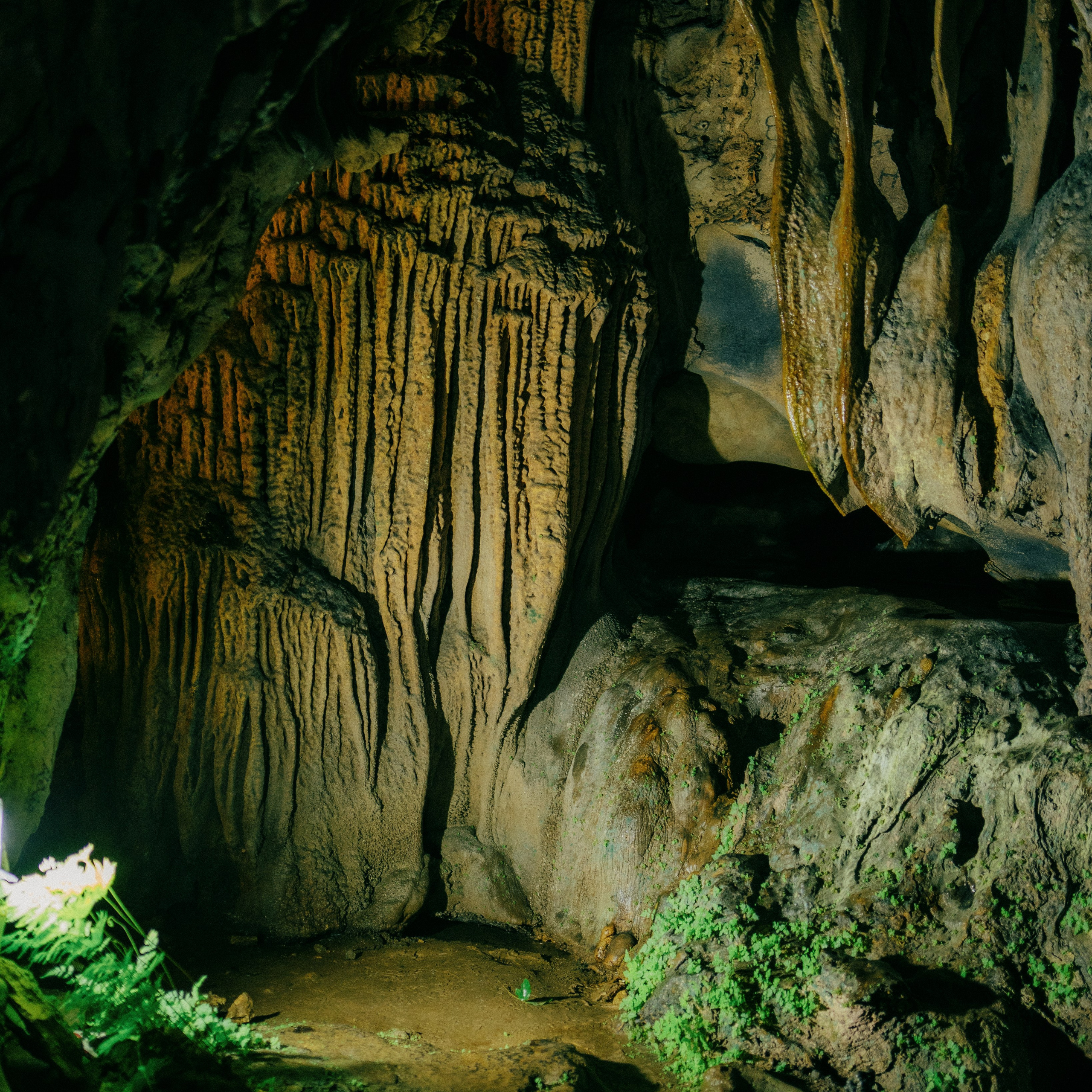 Cat Ba. Lifestyle and wedding photographer in Dubai Valeria Kikvidze