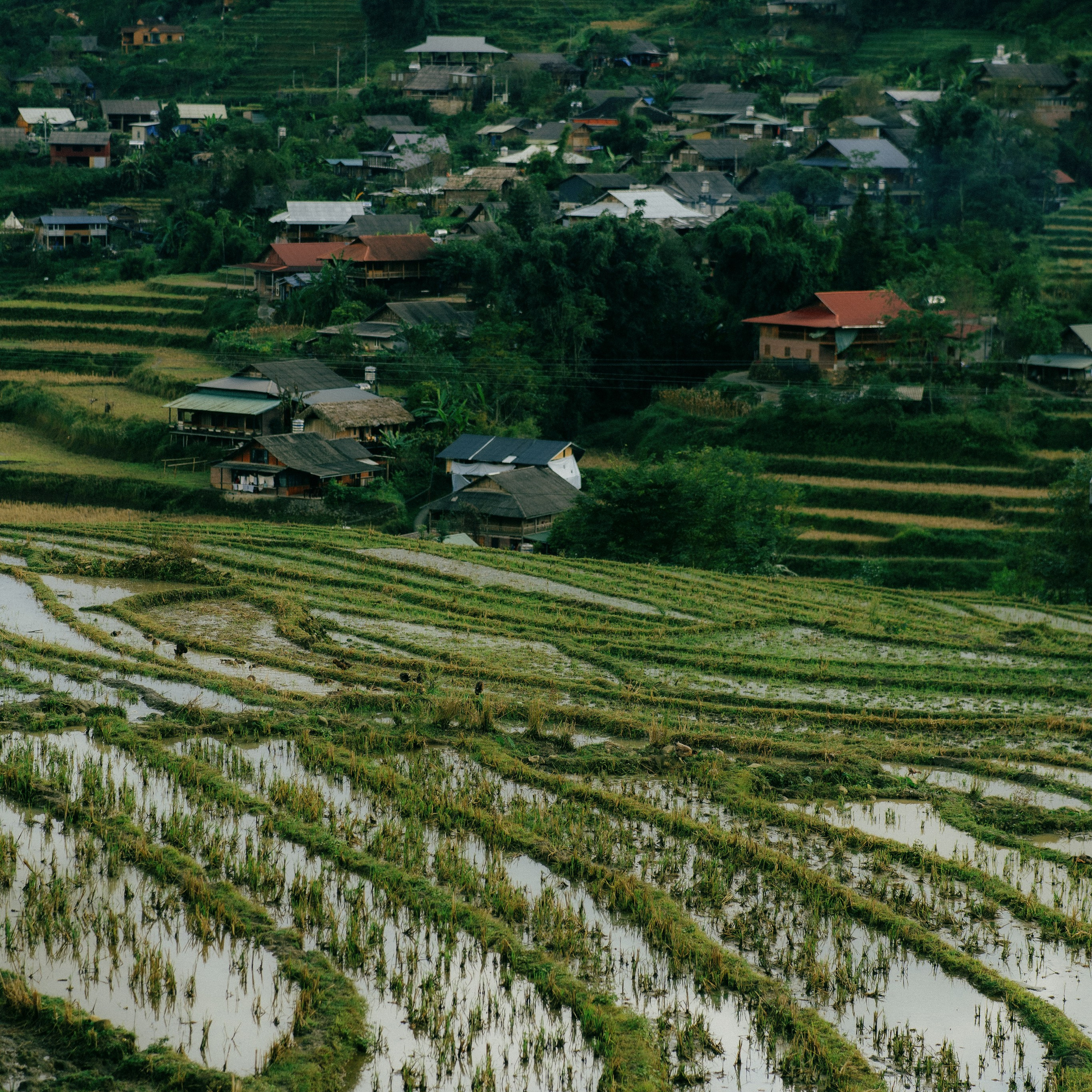Ninh Binh. Lifestyle and wedding photographer in Dubai Valeria Kikvidze