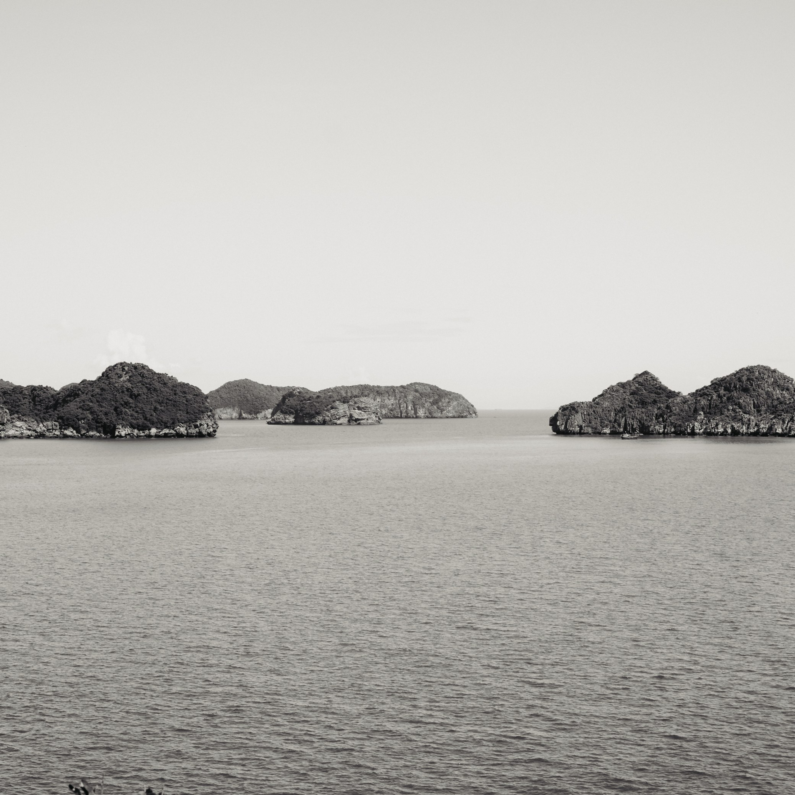 Cat Ba. Lifestyle and wedding photographer in Dubai Valeria Kikvidze