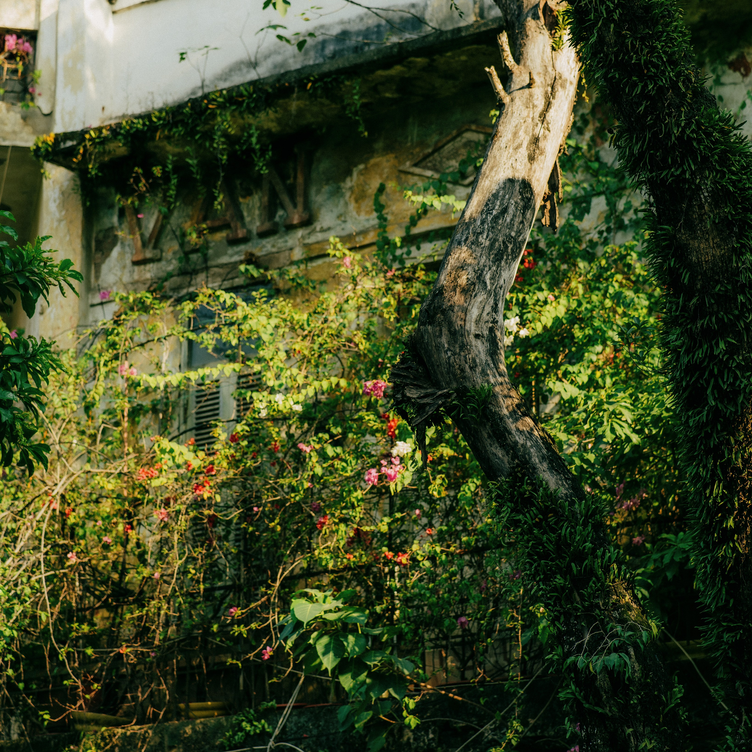 Hanoi. Lifestyle and wedding photographer in Dubai Valeria Kikvidze