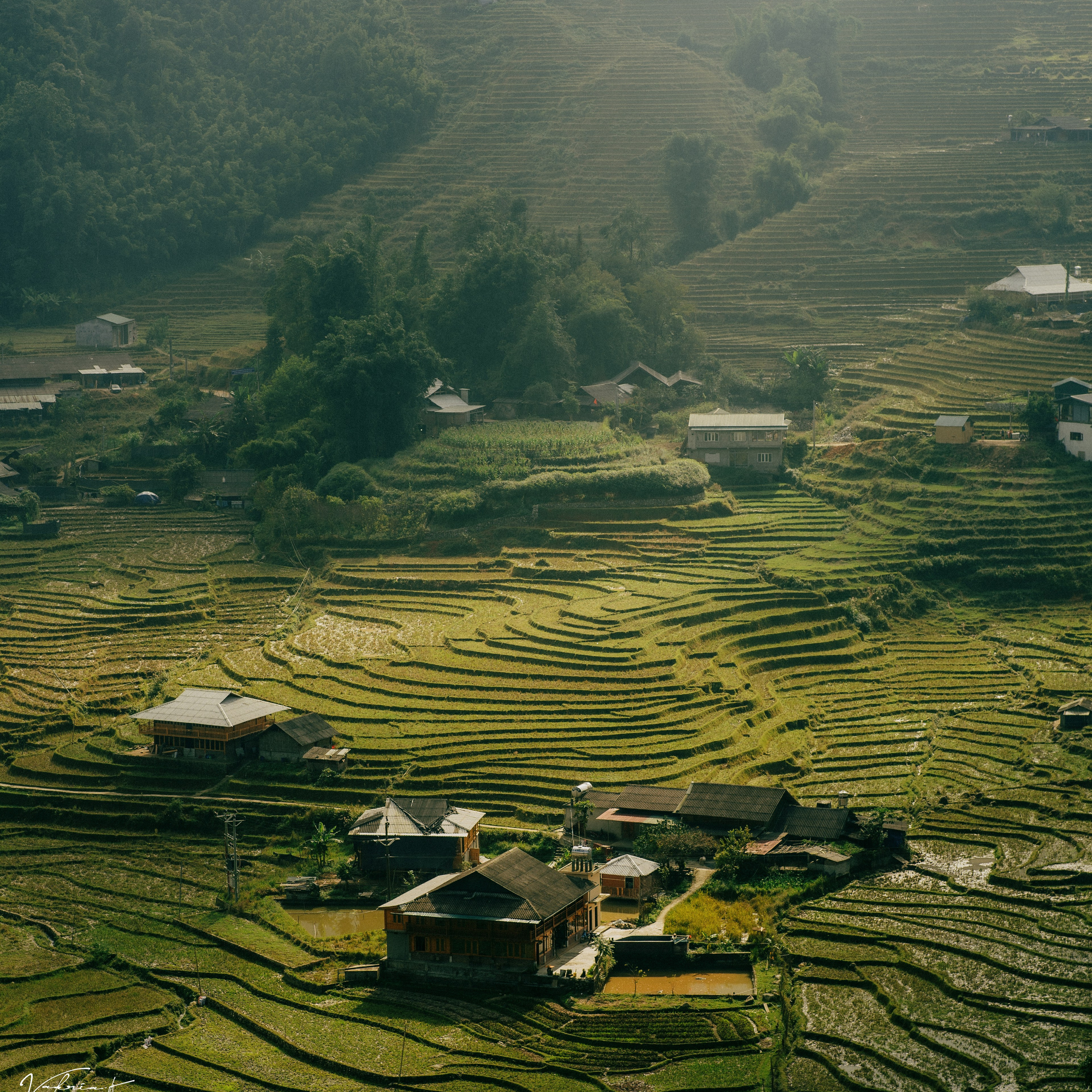 Ninh Binh. Lifestyle and wedding photographer in Dubai Valeria Kikvidze