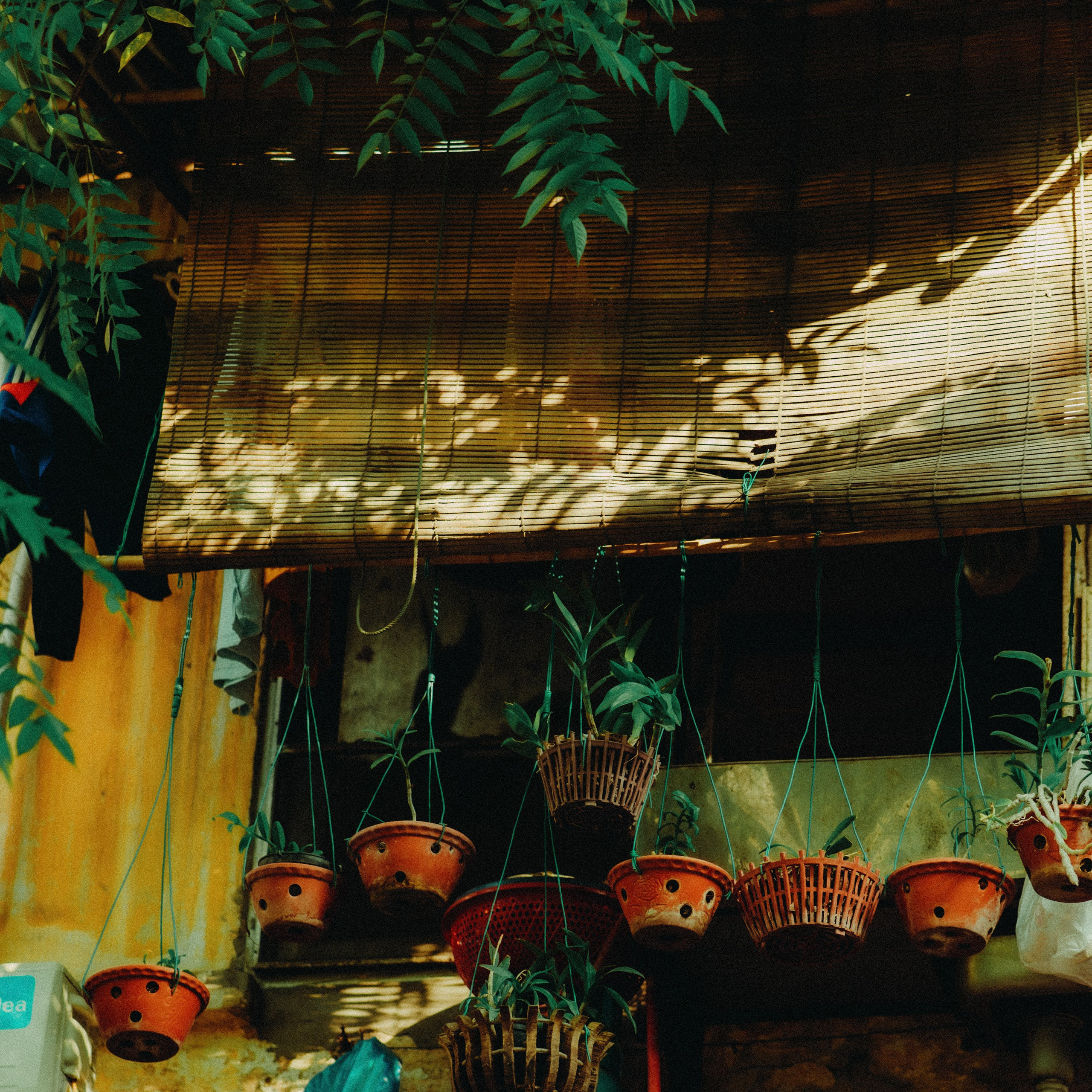 Hanoi. Lifestyle and wedding photographer in Dubai Valeria Kikvidze