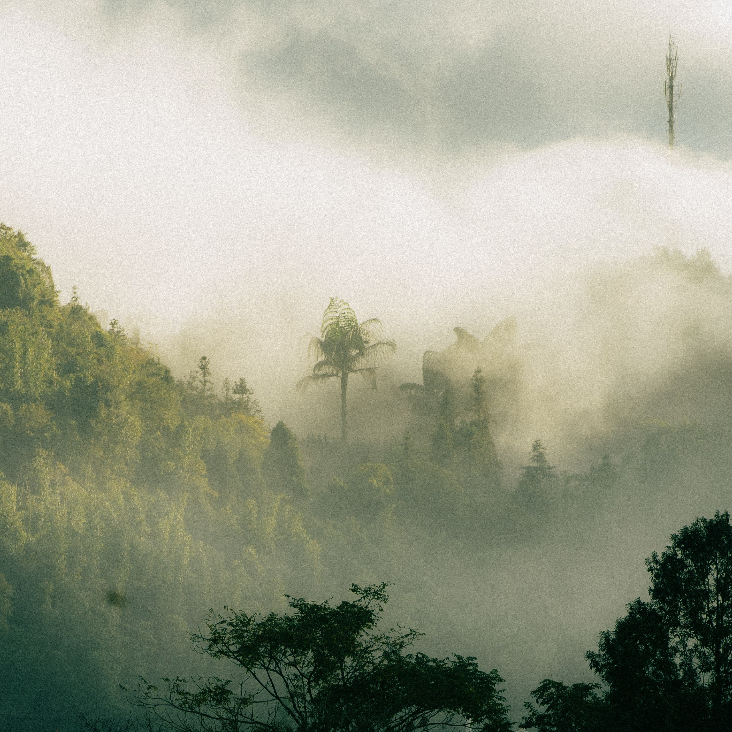 Ninh Binh. Lifestyle and wedding photographer in Dubai Valeria Kikvidze