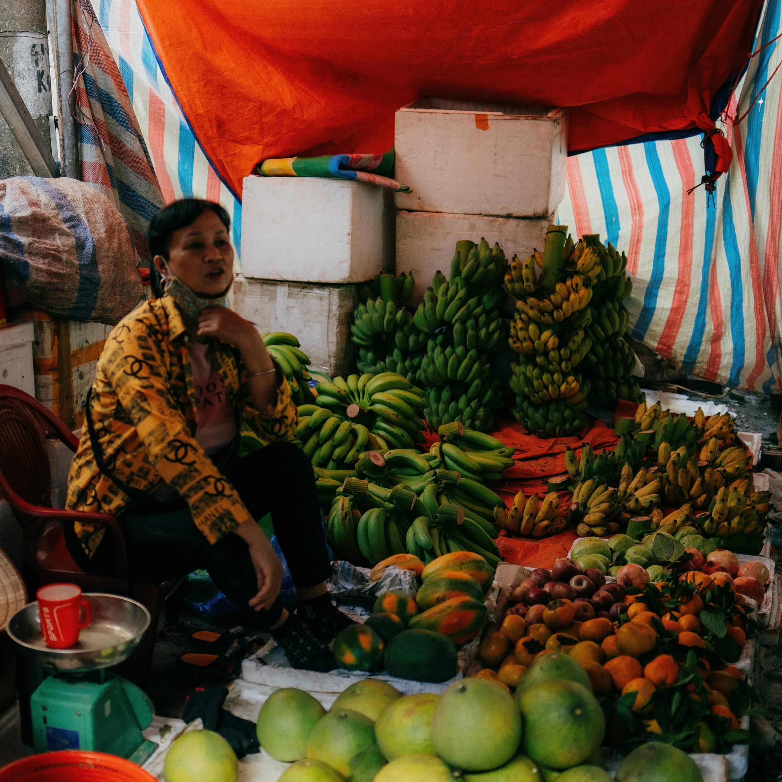 Cat Ba. Lifestyle and wedding photographer in Dubai Valeria Kikvidze