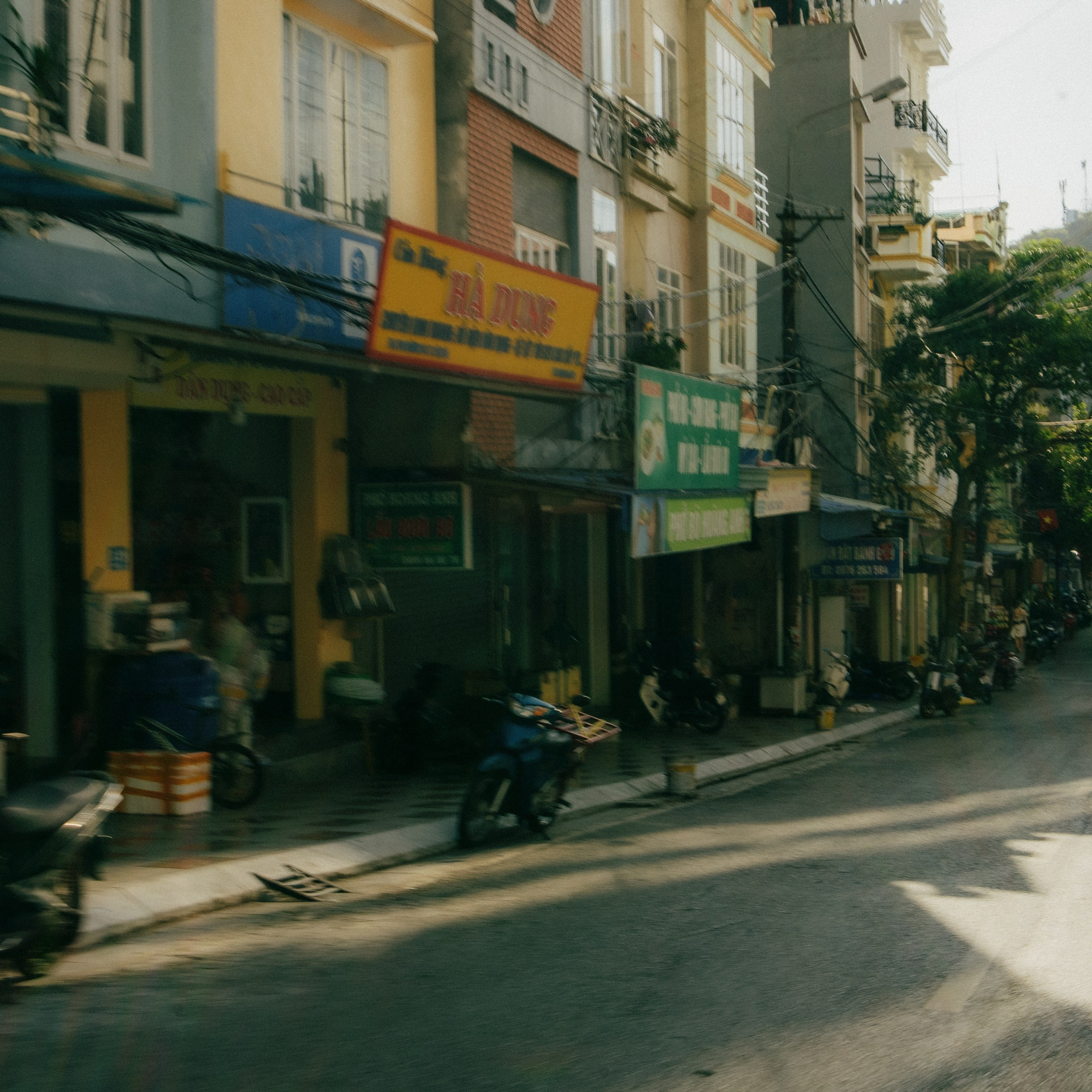 Cat Ba. Lifestyle and wedding photographer in Dubai Valeria Kikvidze