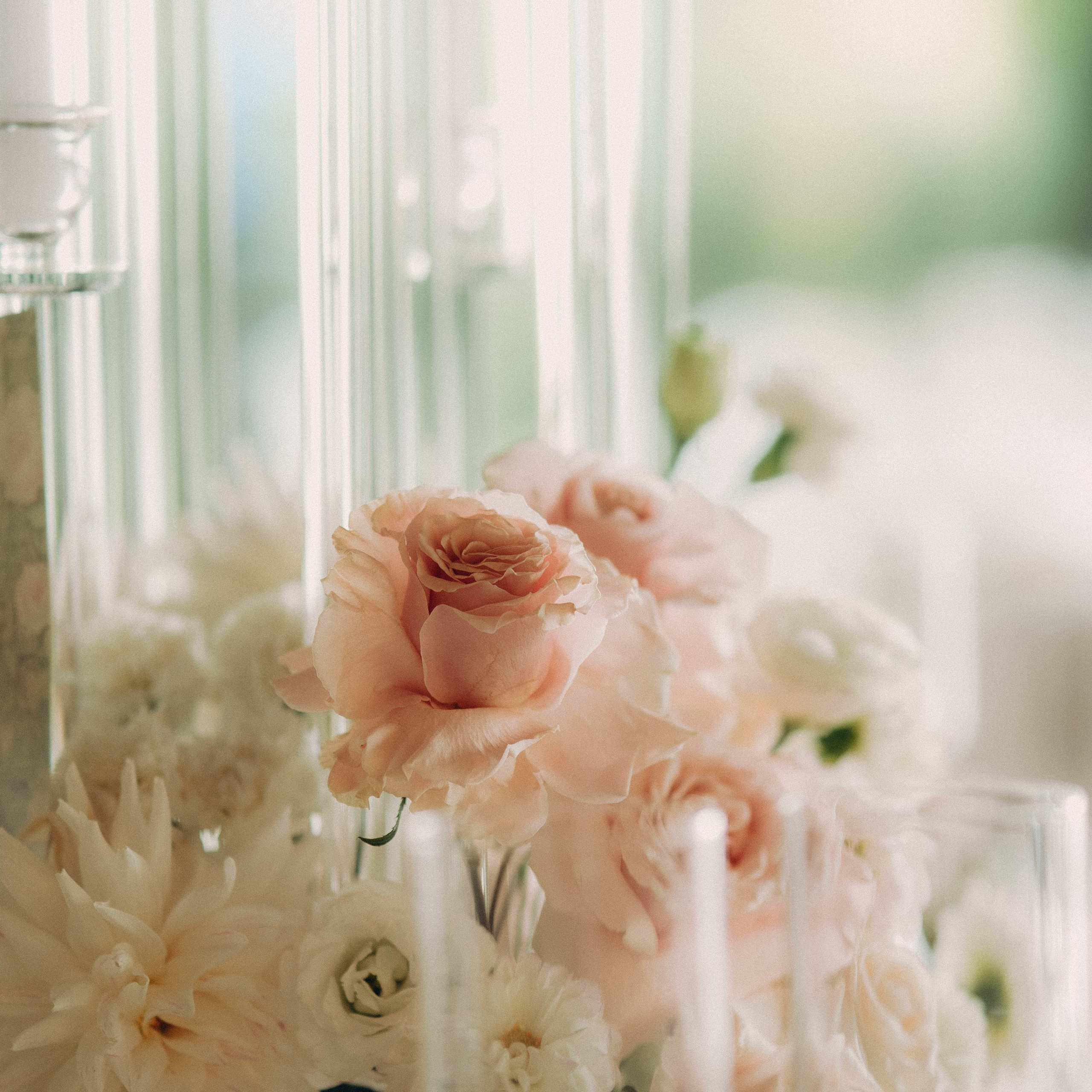 Two Gentle Souls. Lifestyle and wedding photographer in Dubai Valeria Kikvidze