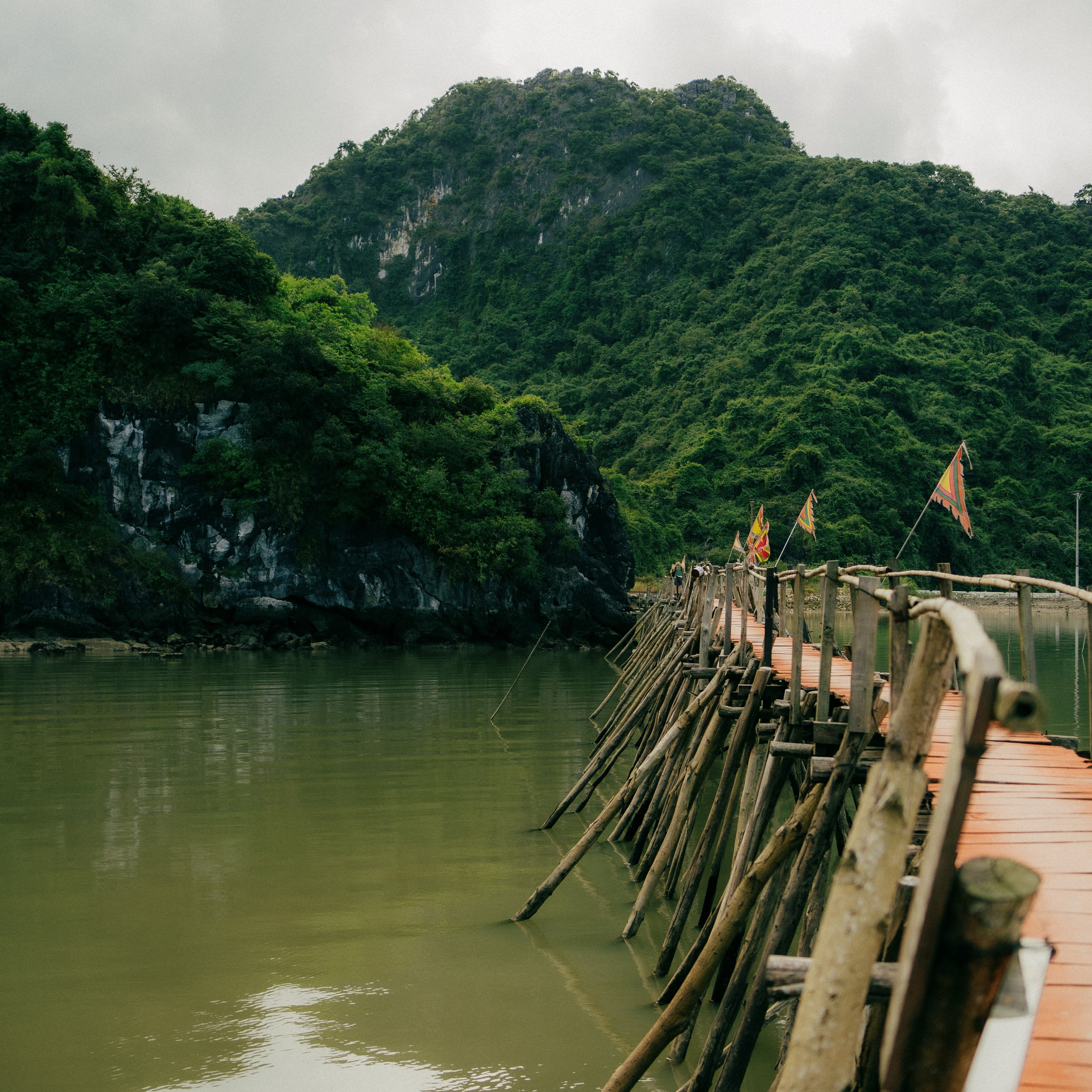 Cat Ba. Lifestyle and wedding photographer in Dubai Valeria Kikvidze