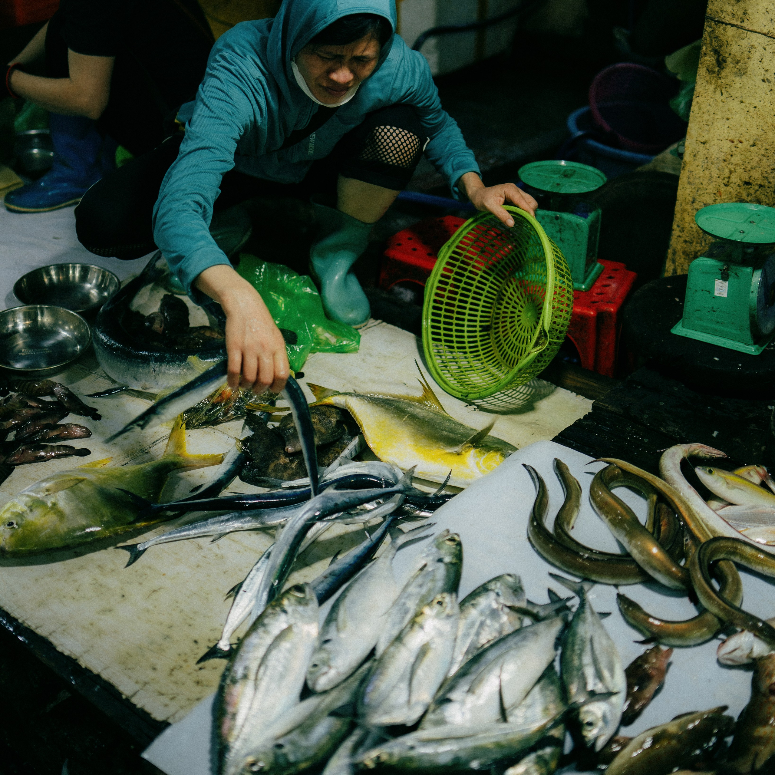 Cat Ba. Lifestyle and wedding photographer in Dubai Valeria Kikvidze