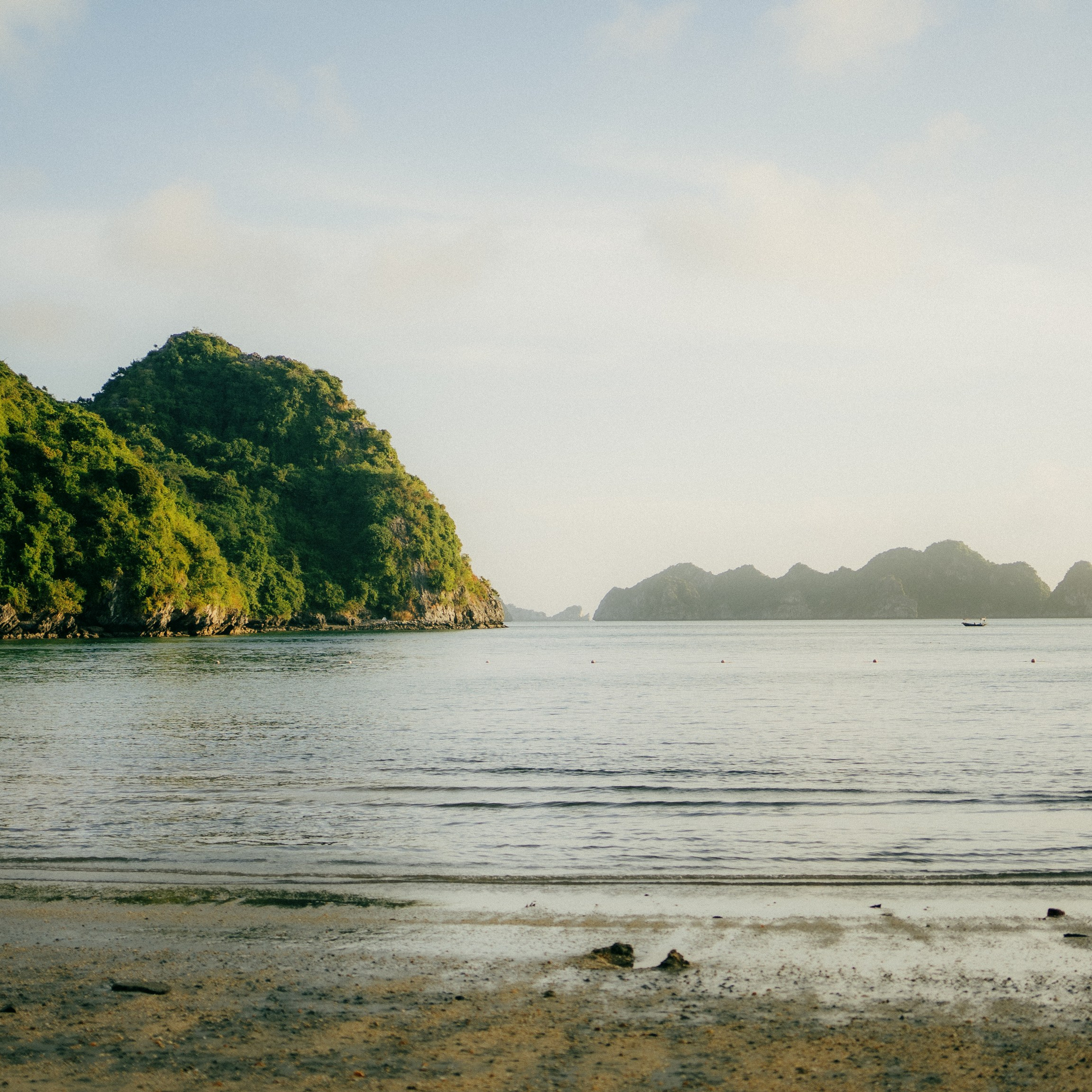 Cat Ba. Lifestyle and wedding photographer in Dubai Valeria Kikvidze