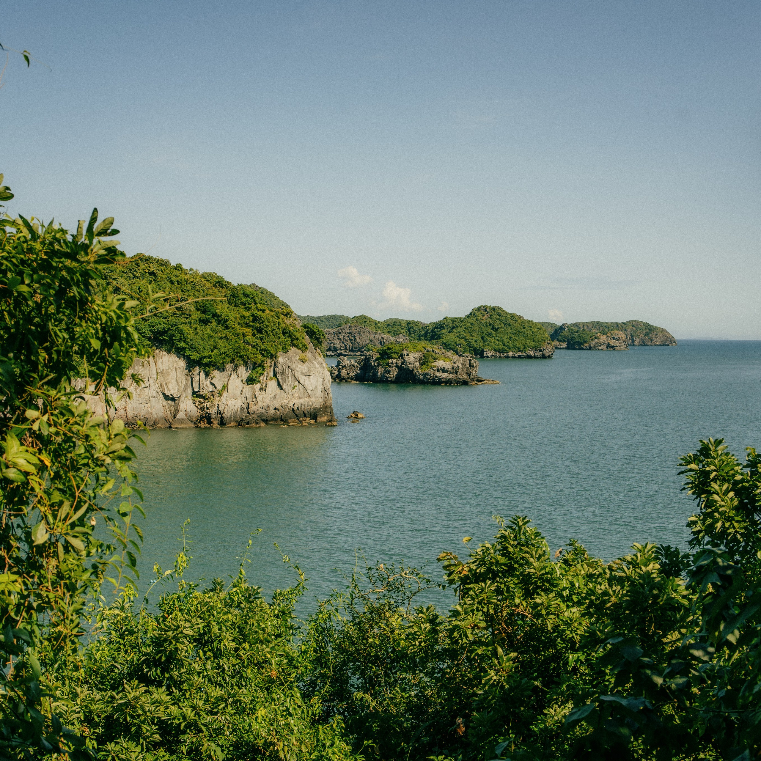 Cat Ba. Lifestyle and wedding photographer in Dubai Valeria Kikvidze