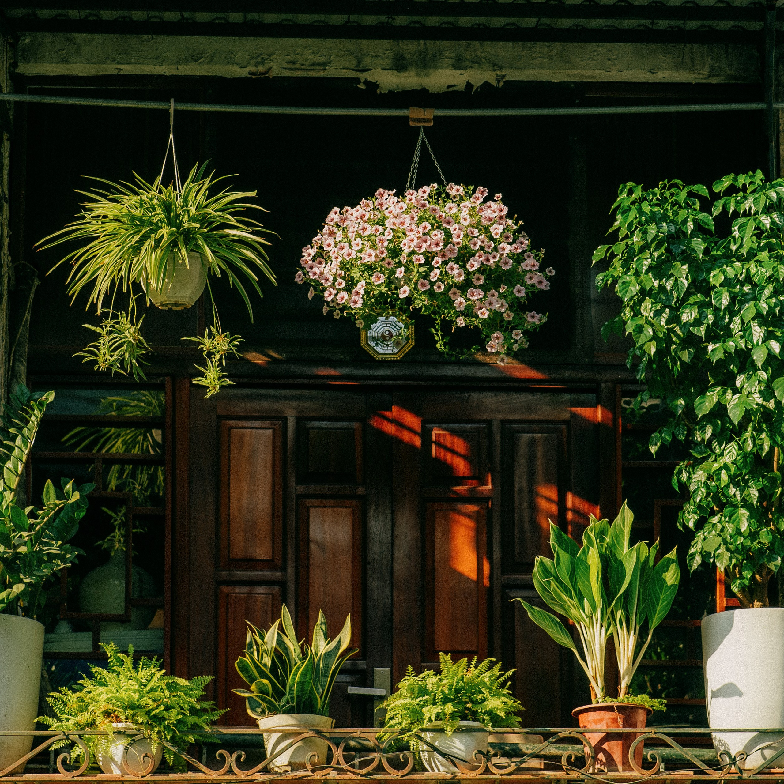 Hanoi. Lifestyle and wedding photographer in Dubai Valeria Kikvidze