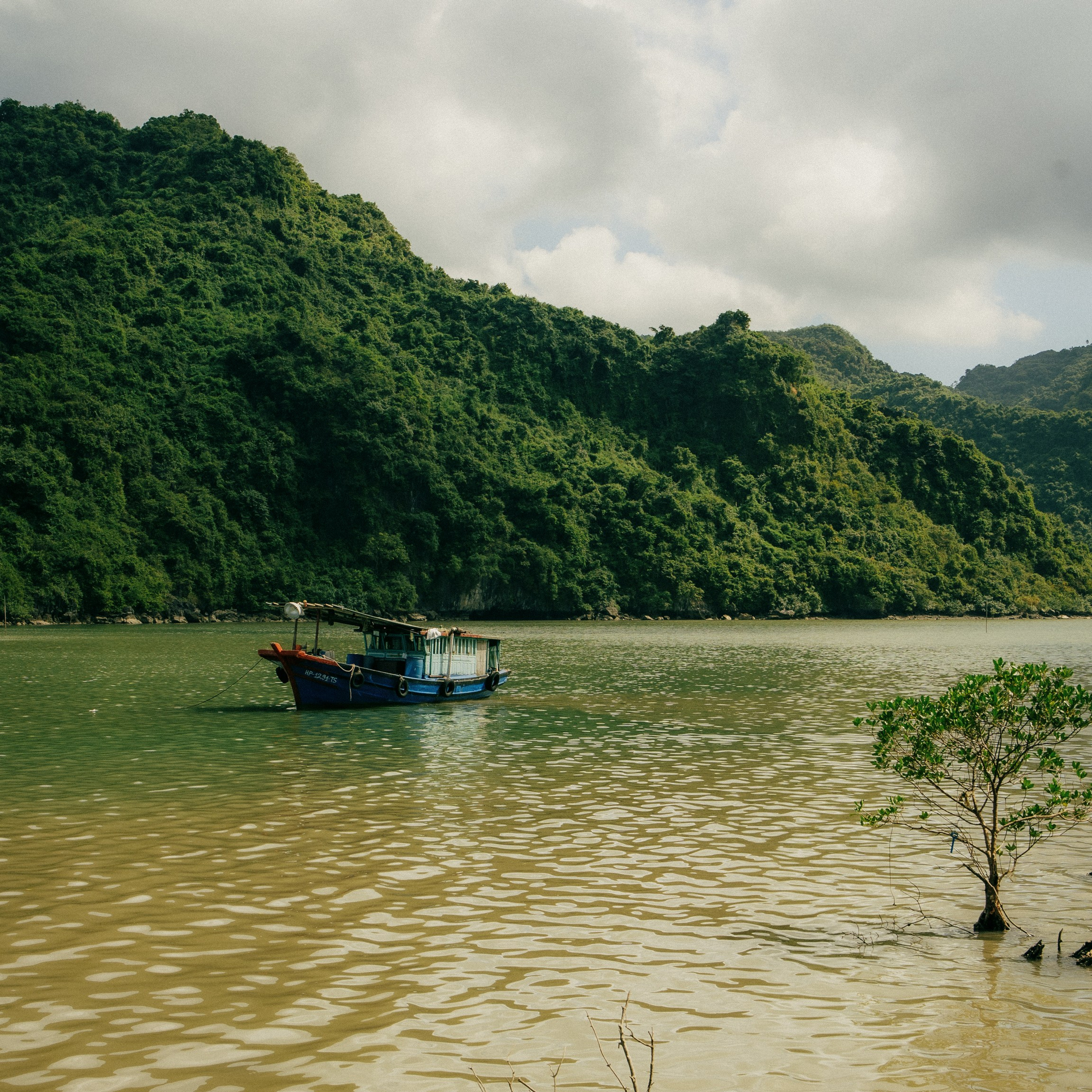 Cat Ba. Lifestyle and wedding photographer in Dubai Valeria Kikvidze