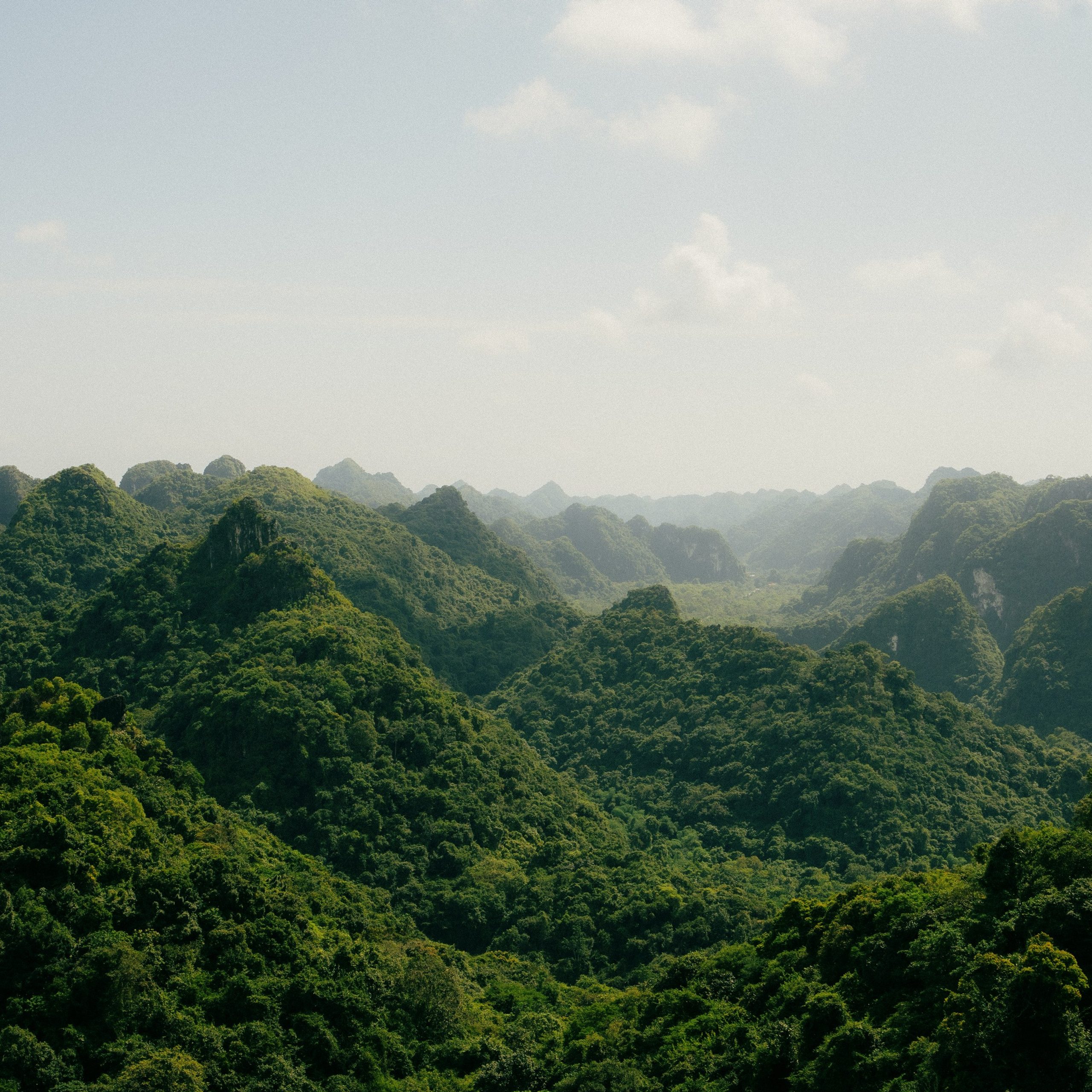 Cat Ba. Lifestyle and wedding photographer in Dubai Valeria Kikvidze