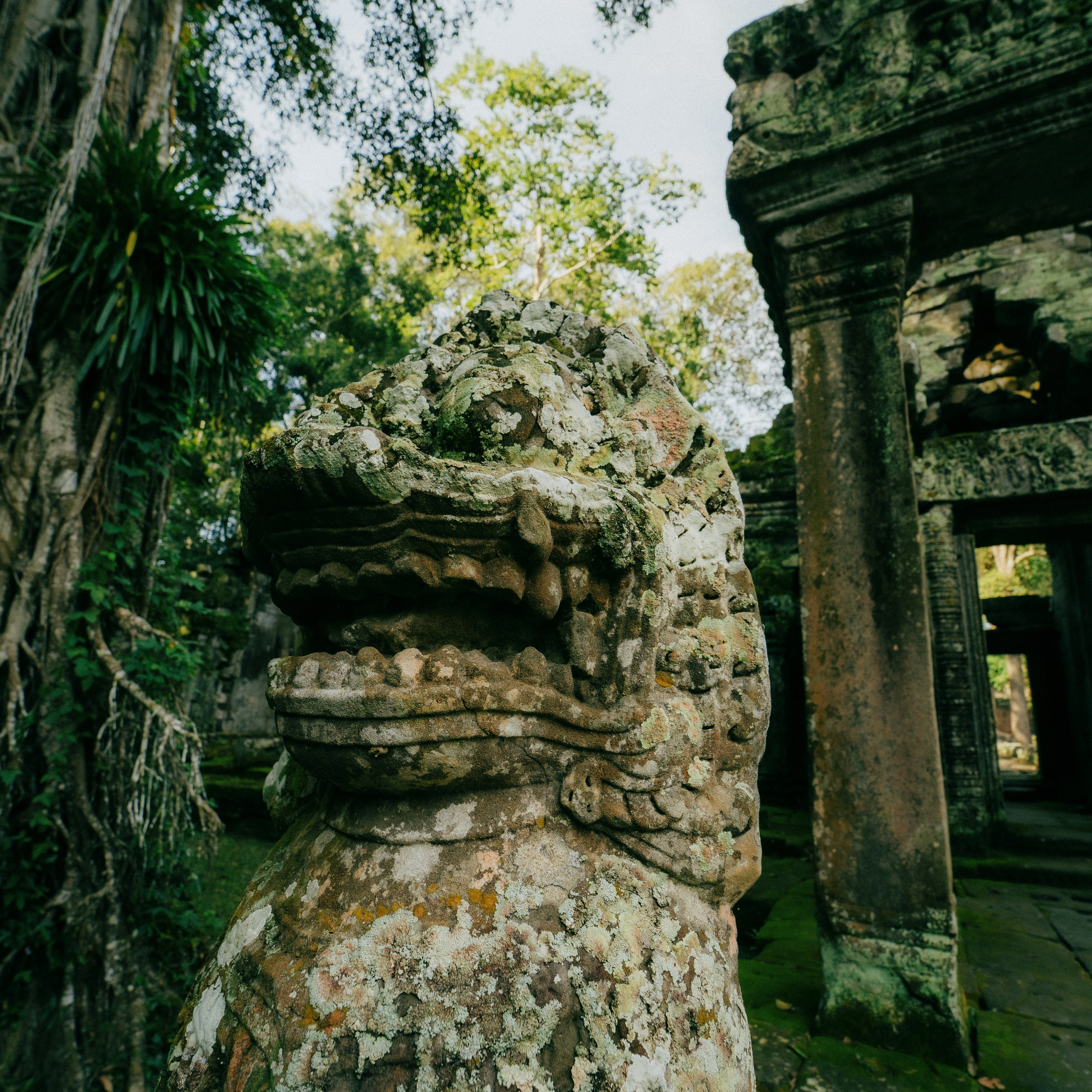 Angkor Wat. Lifestyle and wedding photographer in Dubai Valeria Kikvidze