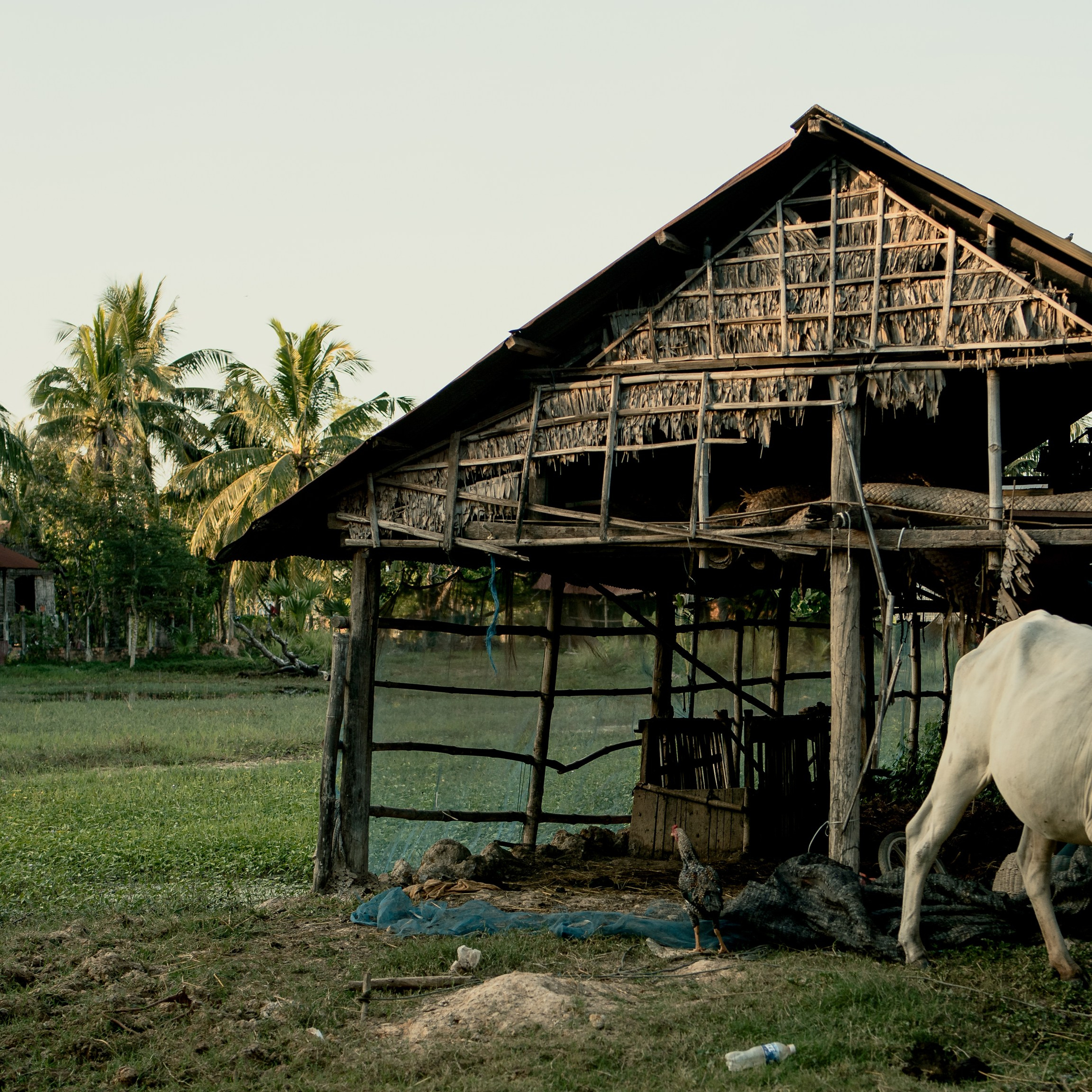 Siem Reap. Lifestyle and wedding photographer in Dubai Valeria Kikvidze