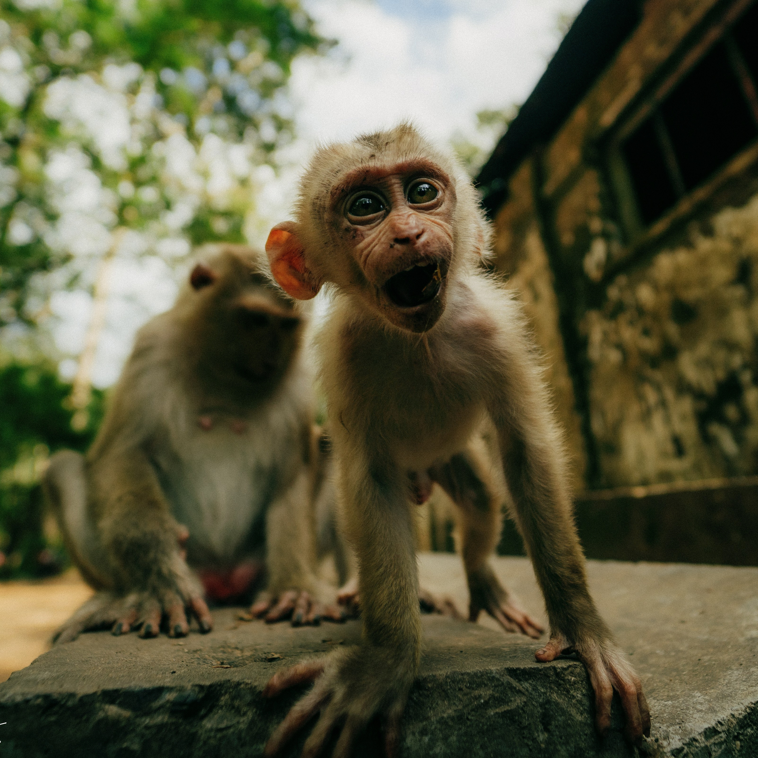 Angkor Wat. Lifestyle and wedding photographer in Dubai Valeria Kikvidze