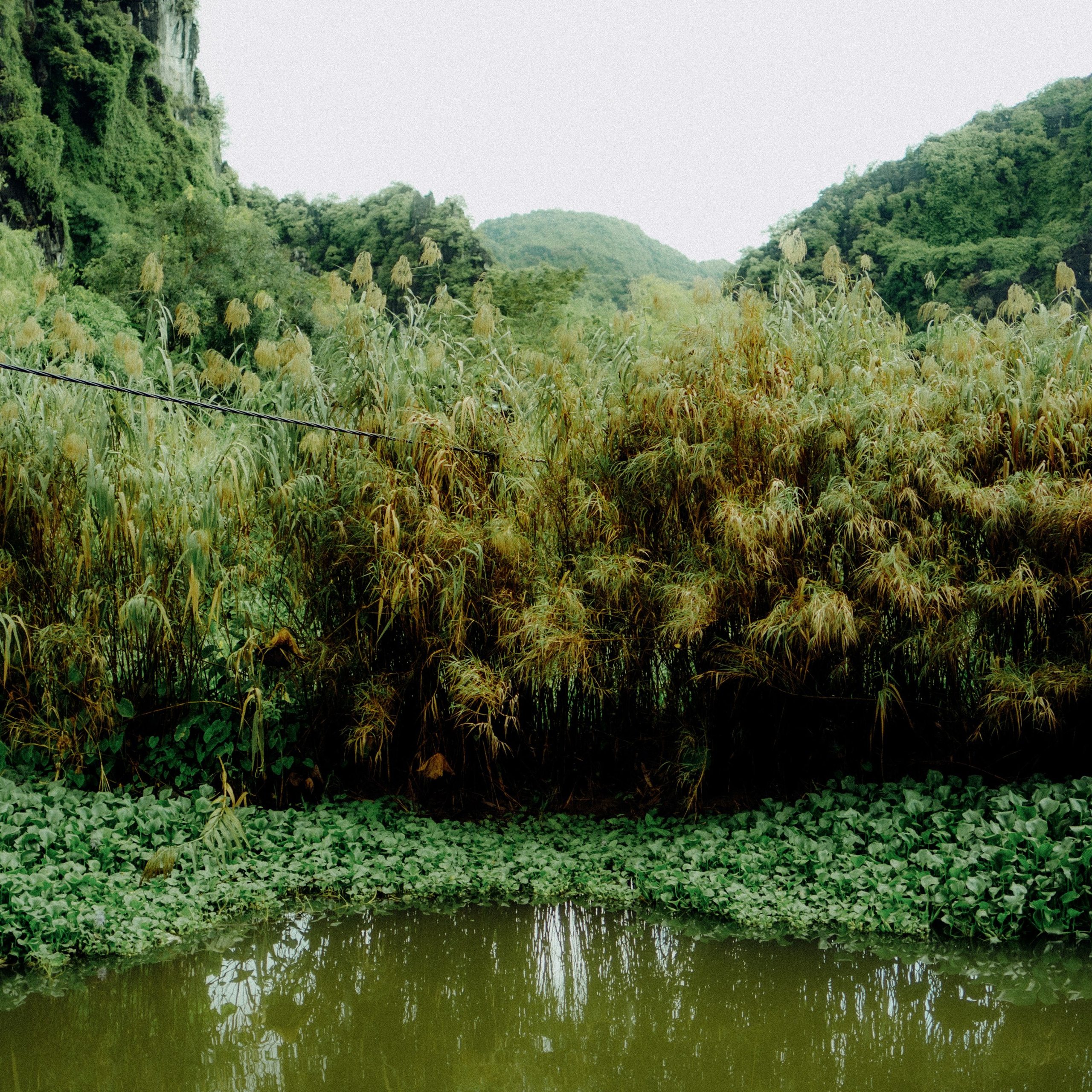 Ninh Binh. Lifestyle and wedding photographer in Dubai Valeria Kikvidze