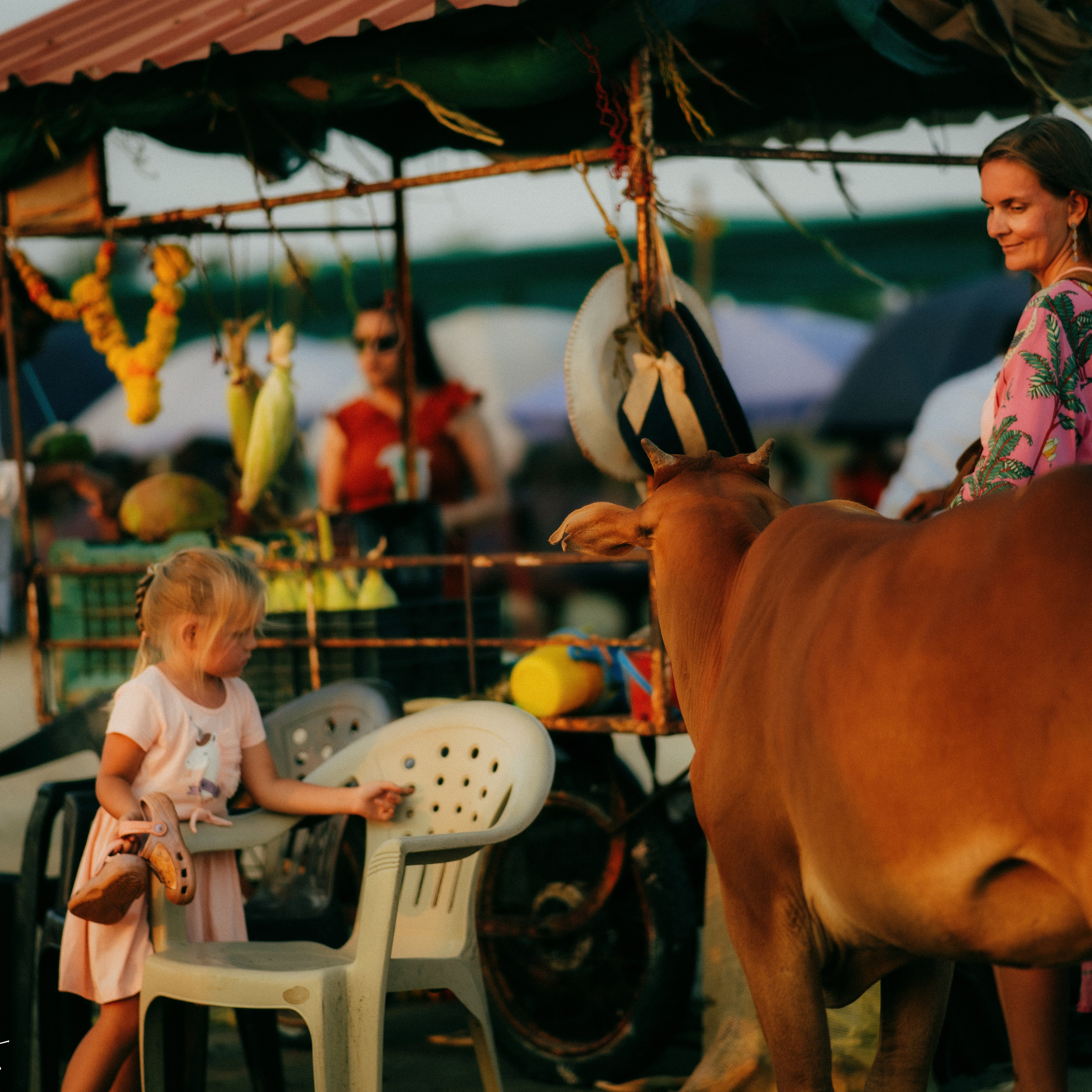 GOA. Lifestyle and wedding photographer in Dubai Valeria Kikvidze