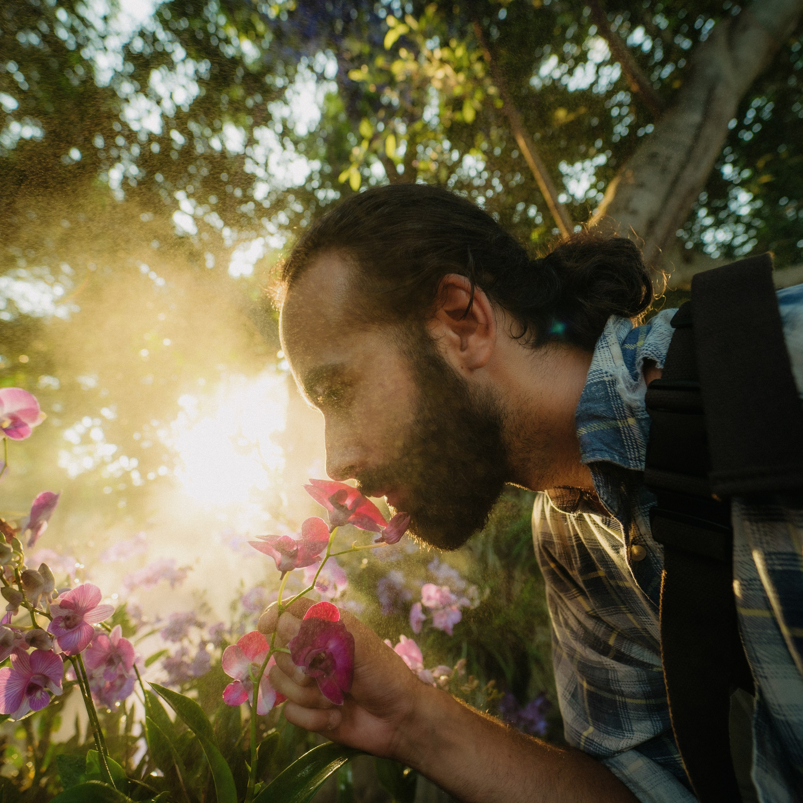 Orchies. Lifestyle and wedding photographer in Dubai Valeria Kikvidze