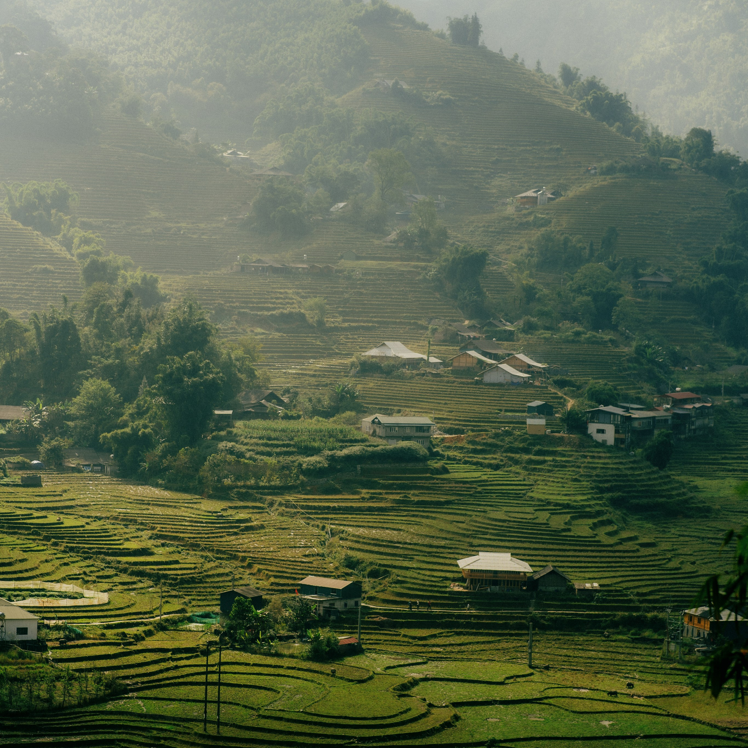 Ninh Binh. Lifestyle and wedding photographer in Dubai Valeria Kikvidze