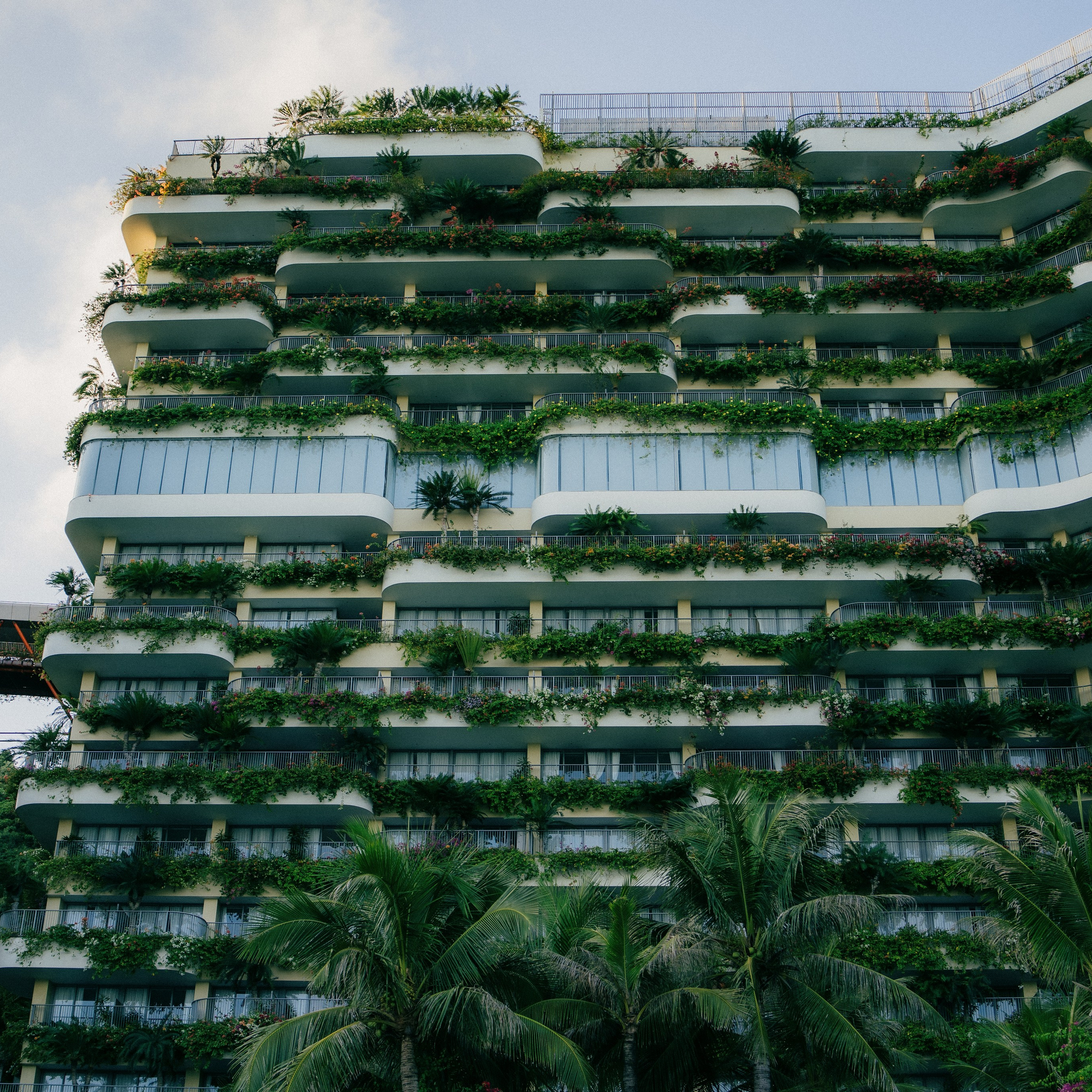 Cat Ba. Lifestyle and wedding photographer in Dubai Valeria Kikvidze