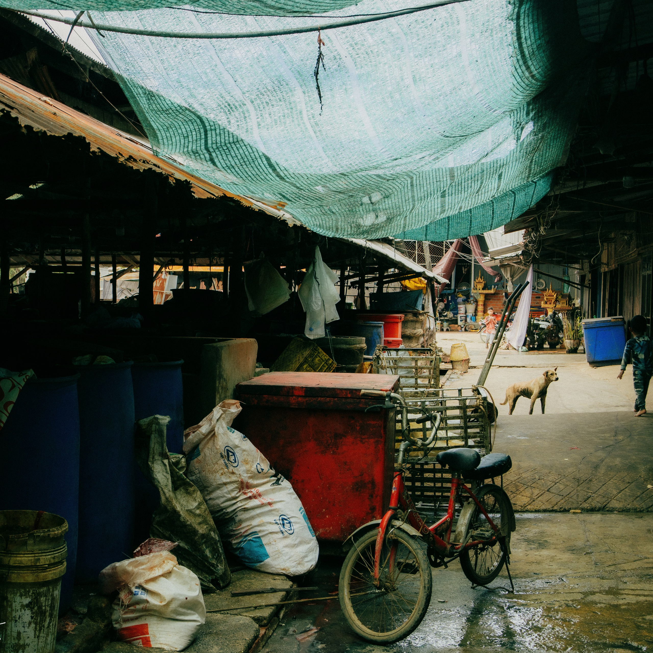 Battambang. Lifestyle and wedding photographer in Dubai Valeria Kikvidze