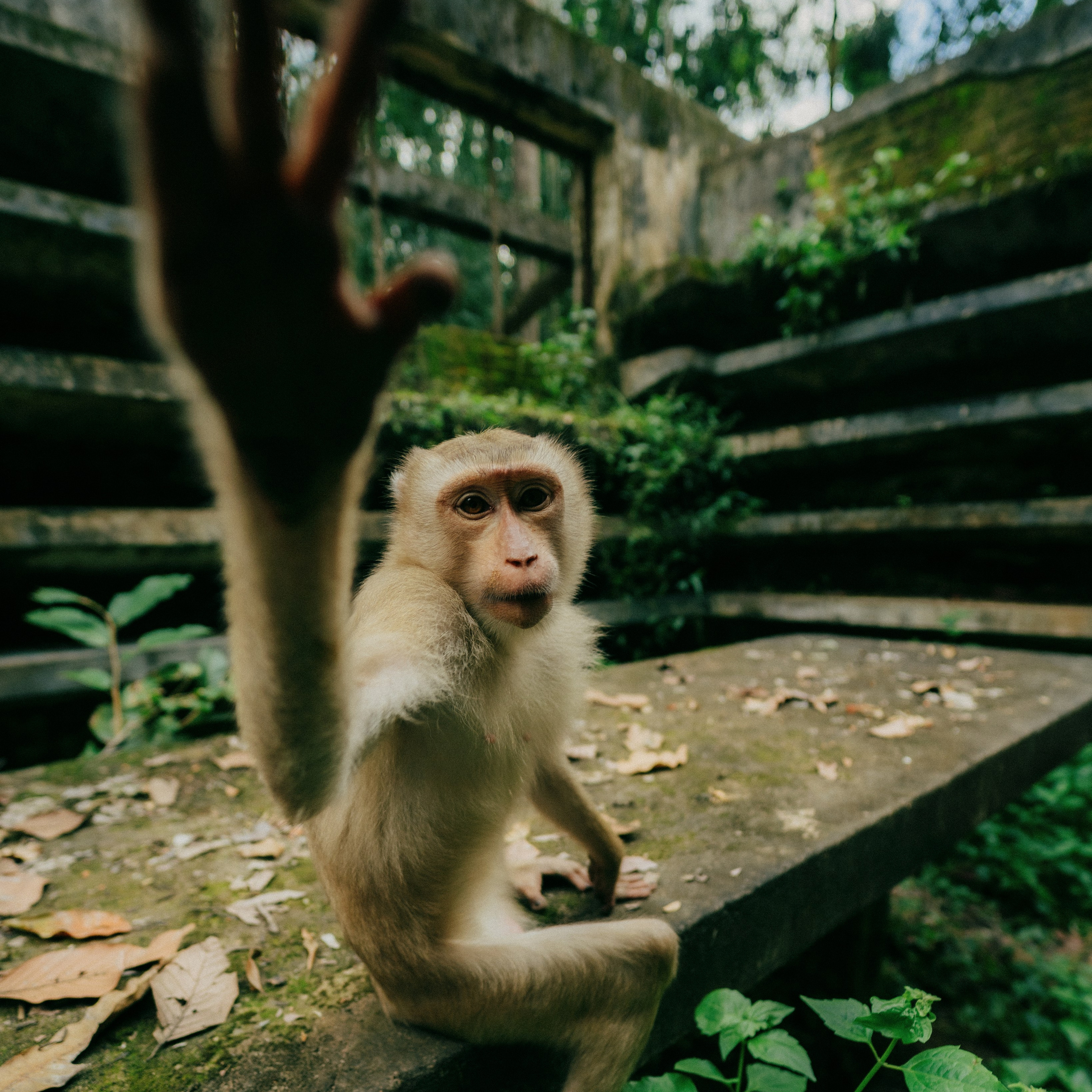 Angkor Wat. Lifestyle and wedding photographer in Dubai Valeria Kikvidze