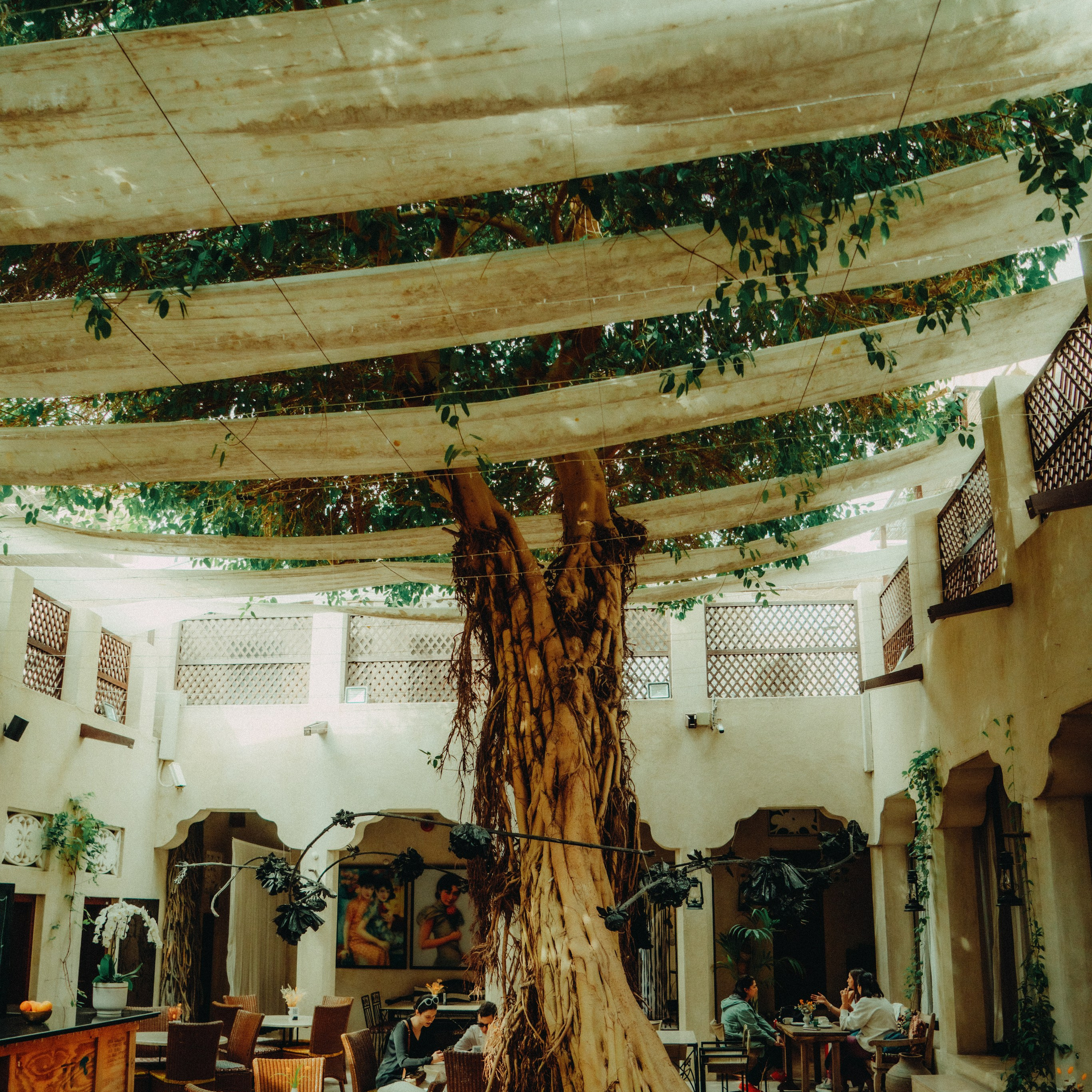 Dubai. Lifestyle and wedding photographer in Dubai Valeria Kikvidze