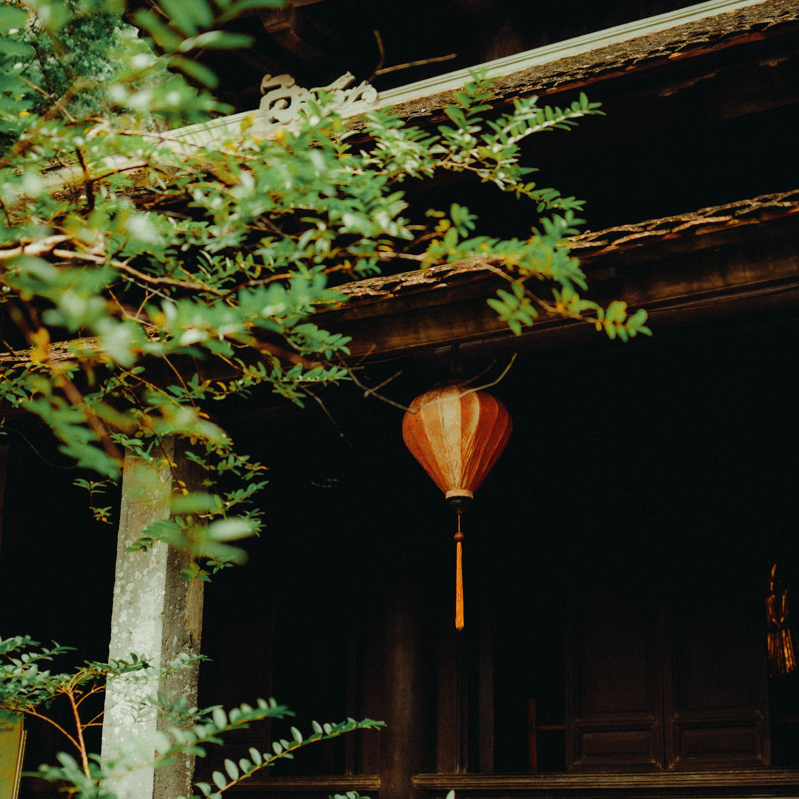 Ninh Binh. Lifestyle and wedding photographer in Dubai Valeria Kikvidze