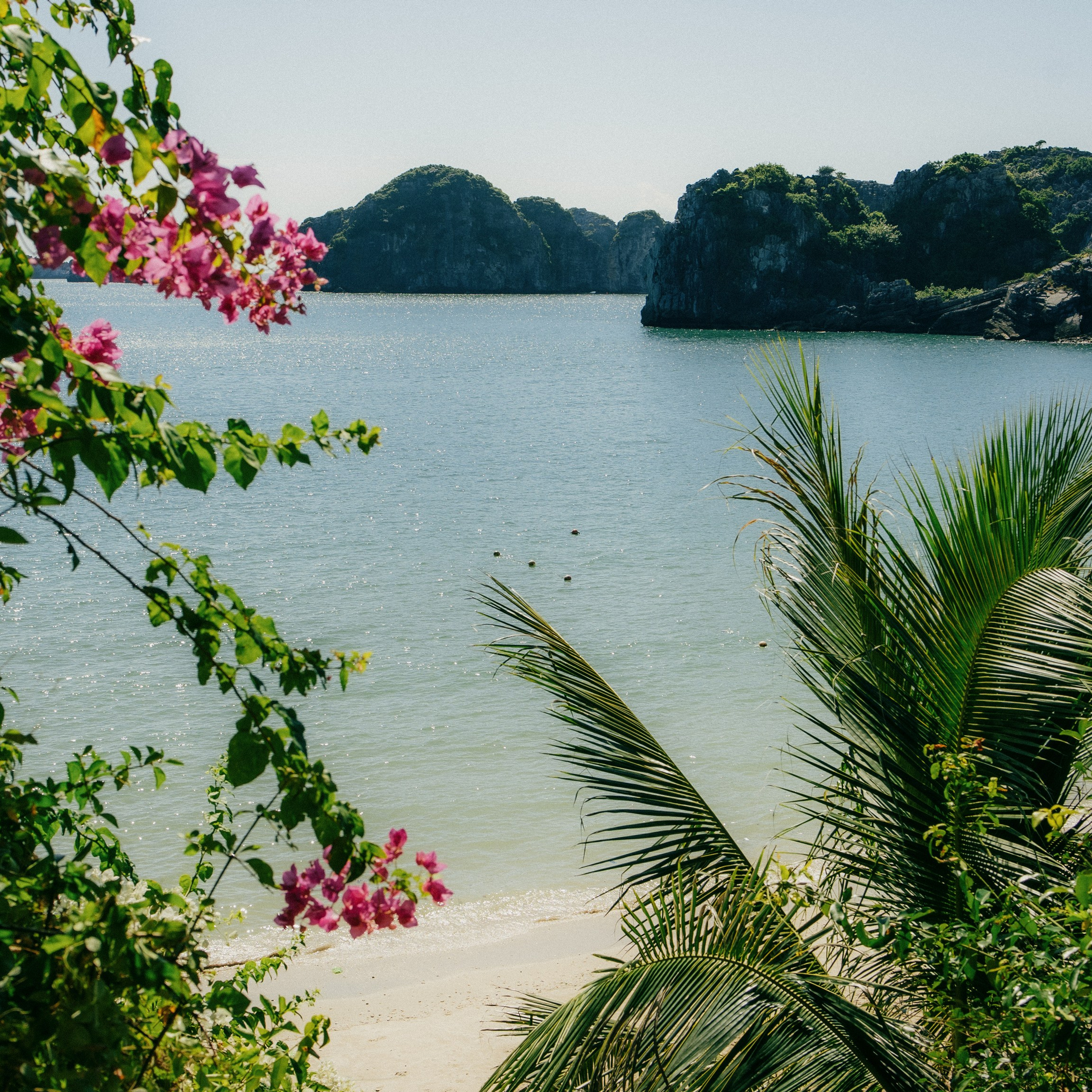 Cat Ba. Lifestyle and wedding photographer in Dubai Valeria Kikvidze