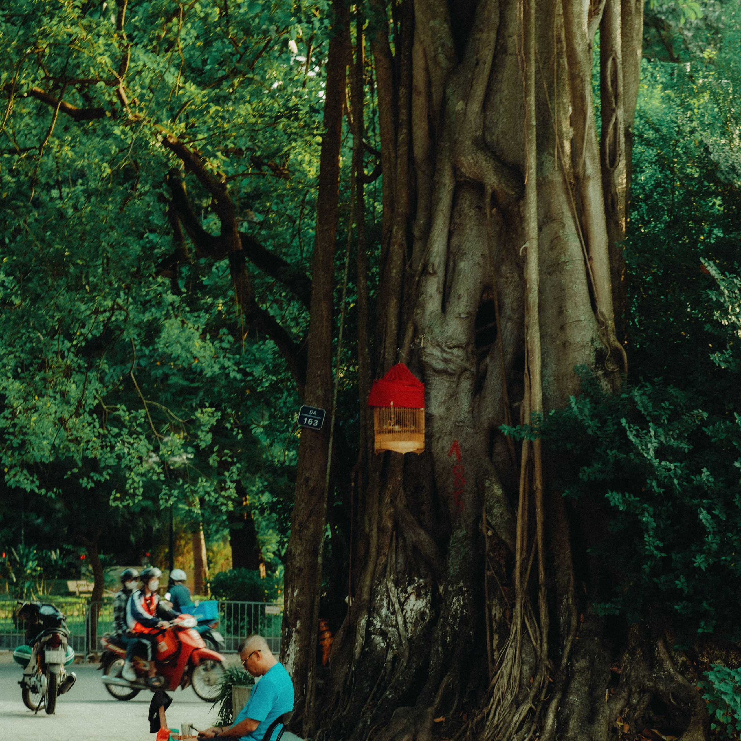 Hanoi. Lifestyle and wedding photographer in Dubai Valeria Kikvidze