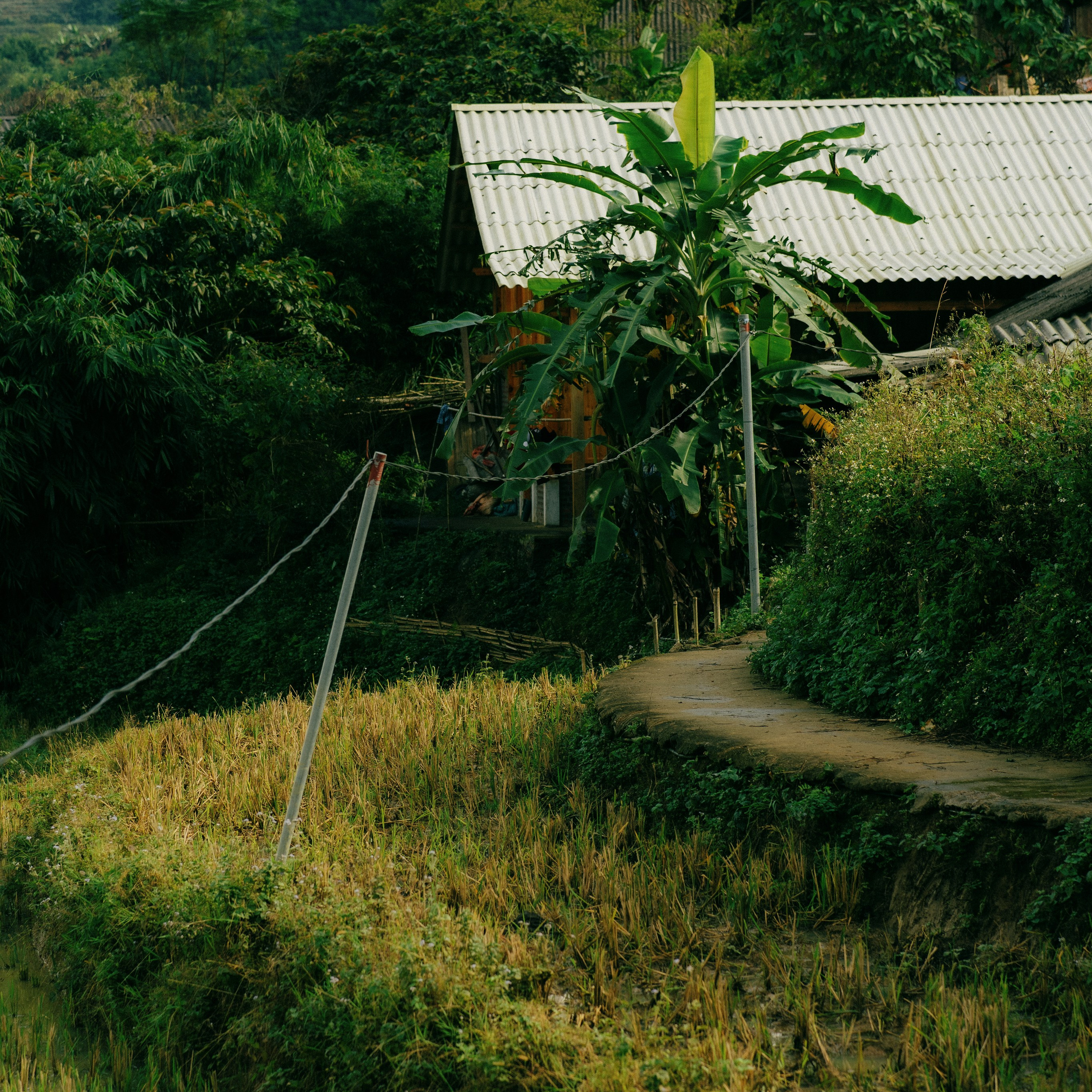 Ninh Binh. Lifestyle and wedding photographer in Dubai Valeria Kikvidze