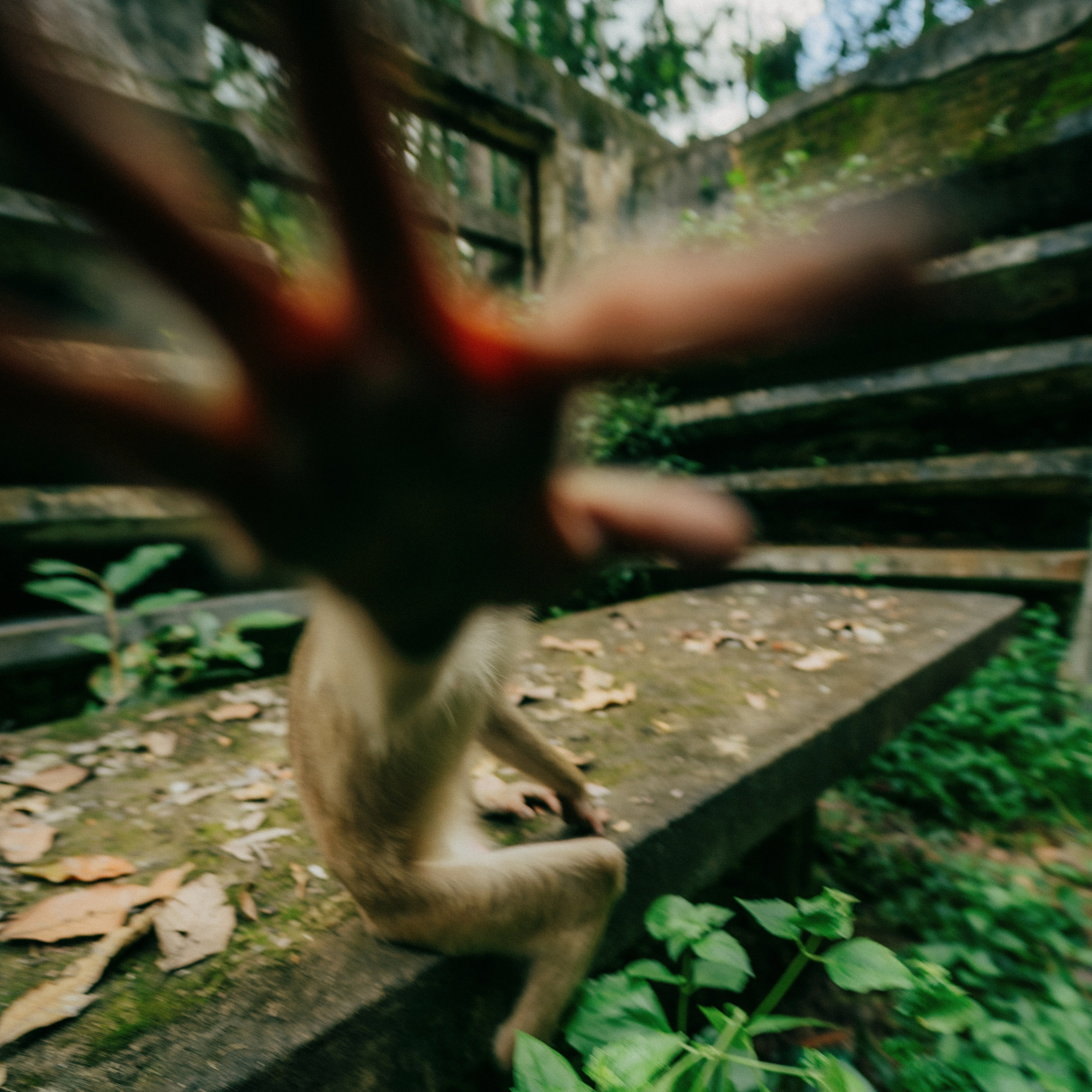 Angkor Wat. Lifestyle and wedding photographer in Dubai Valeria Kikvidze