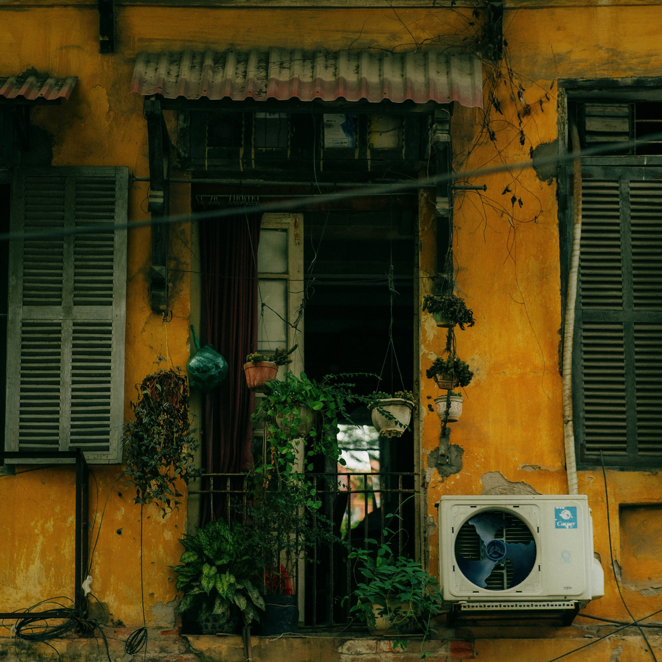 Hanoi. Lifestyle and wedding photographer in Dubai Valeria Kikvidze