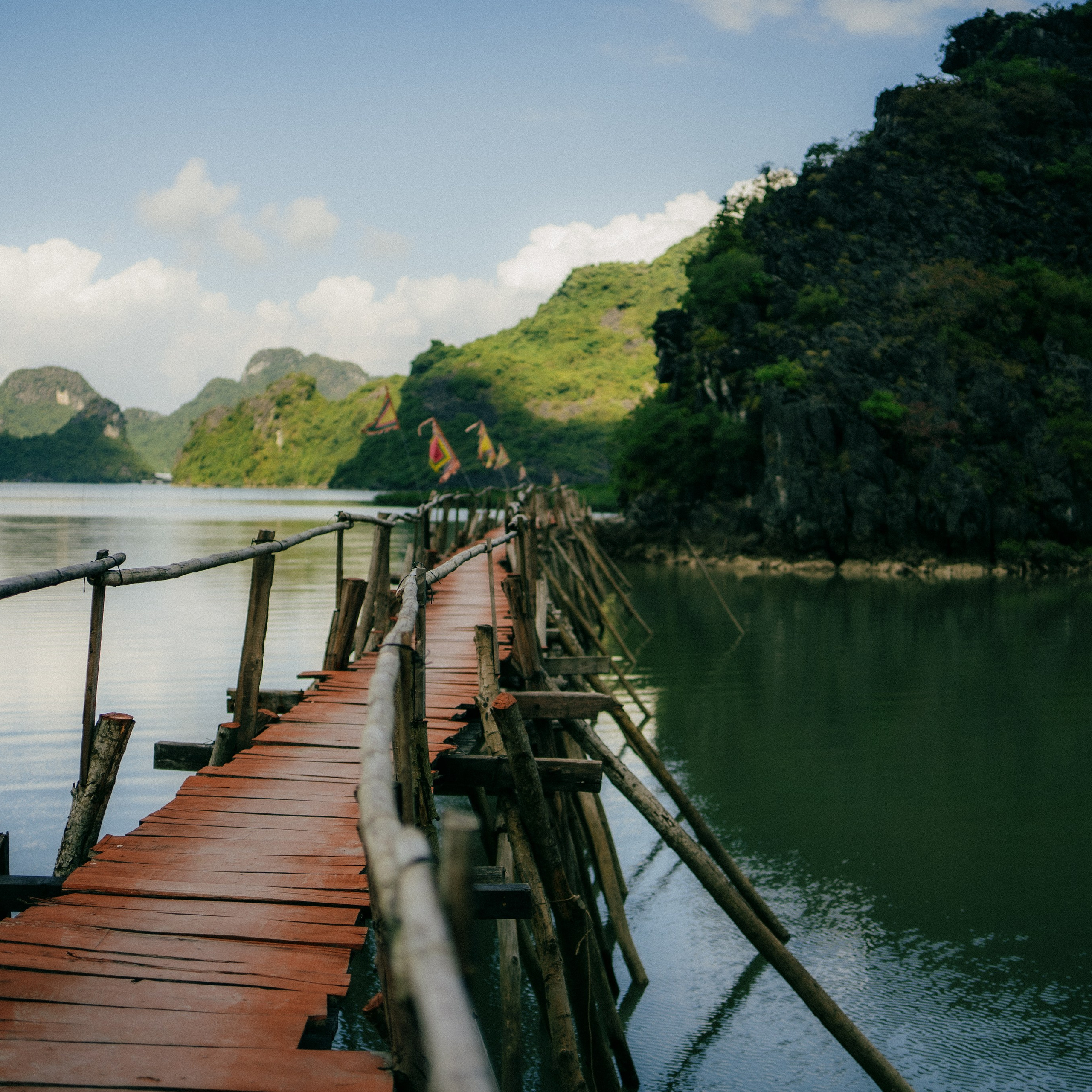 Cat Ba. Lifestyle and wedding photographer in Dubai Valeria Kikvidze