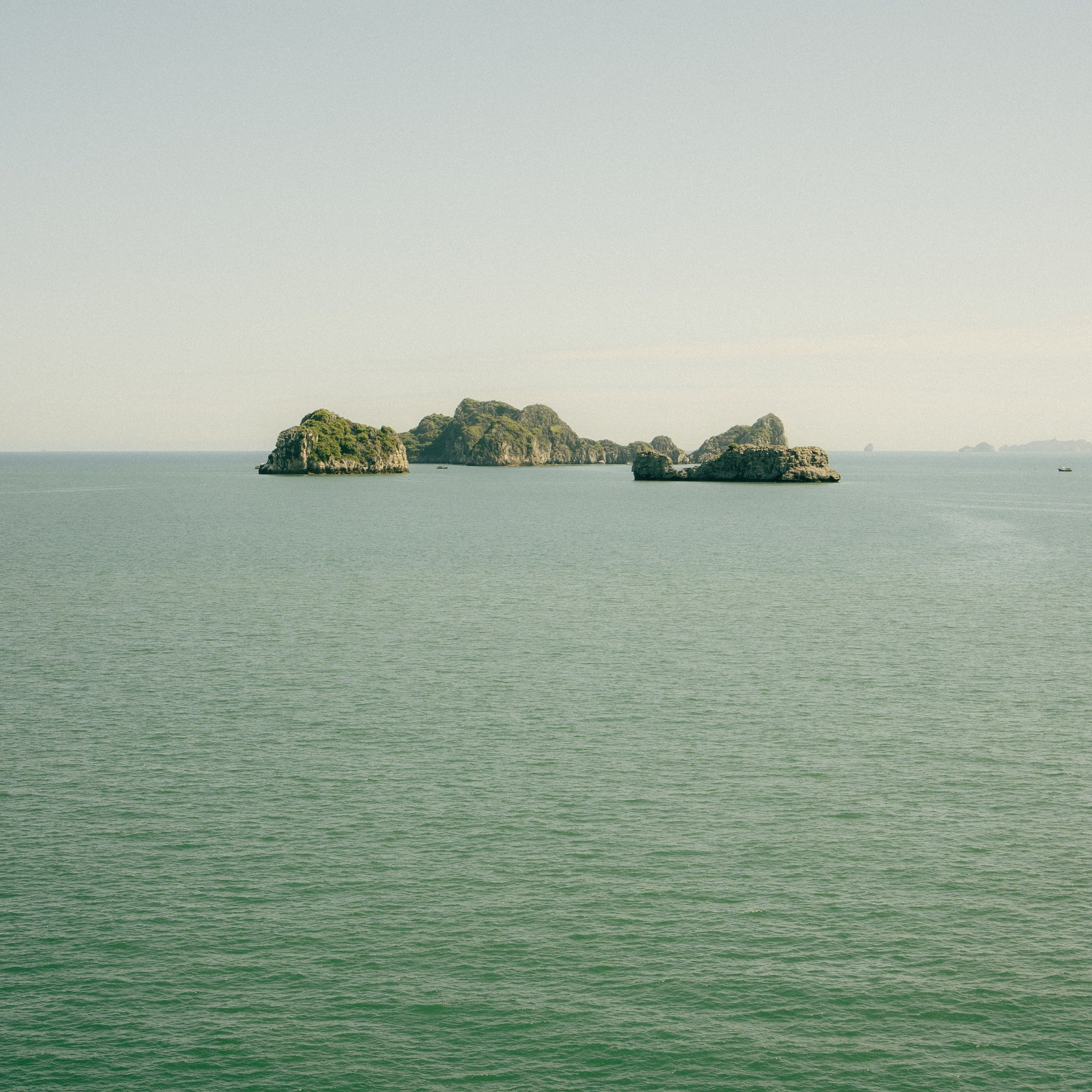 Cat Ba. Lifestyle and wedding photographer in Dubai Valeria Kikvidze