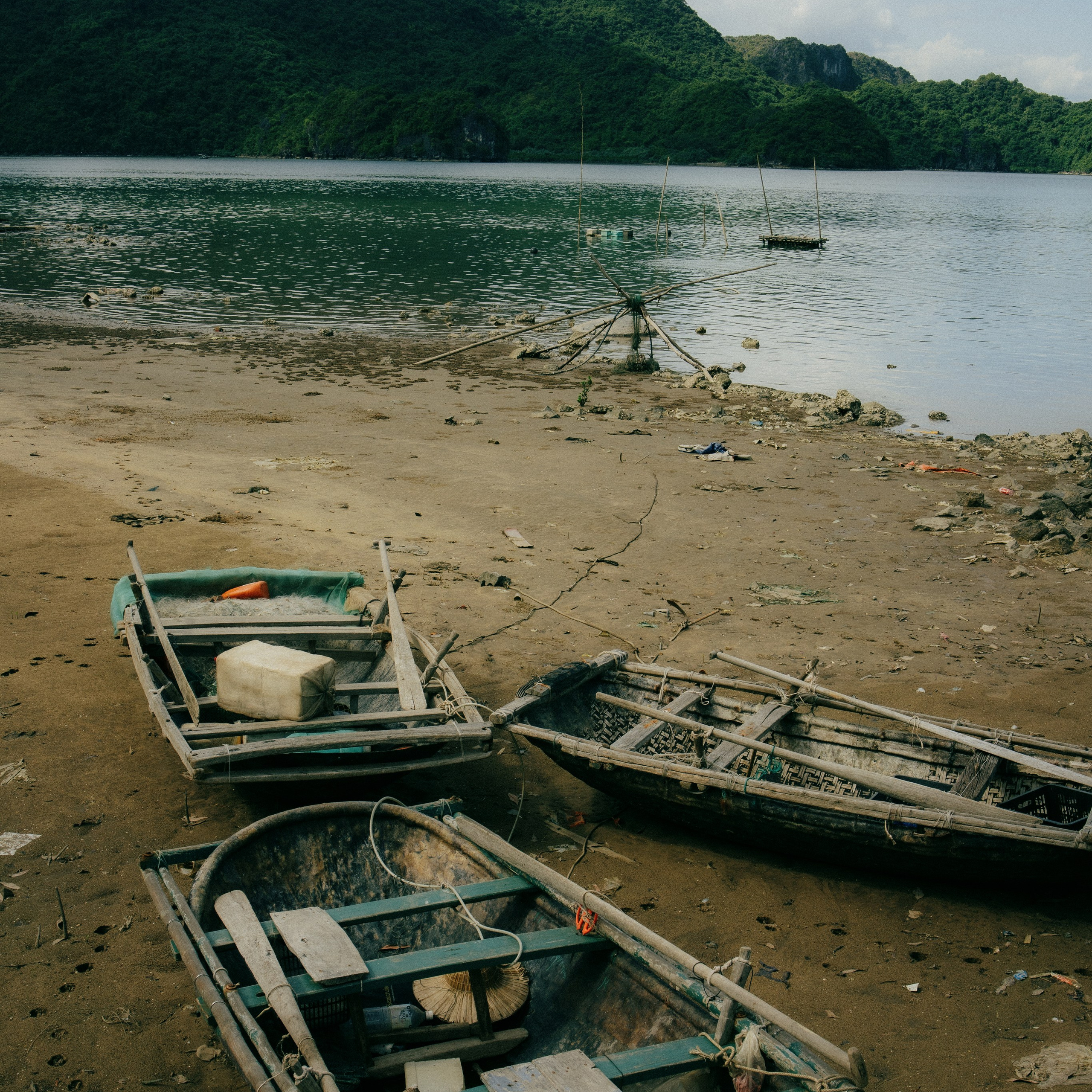 Cat Ba. Lifestyle and wedding photographer in Dubai Valeria Kikvidze