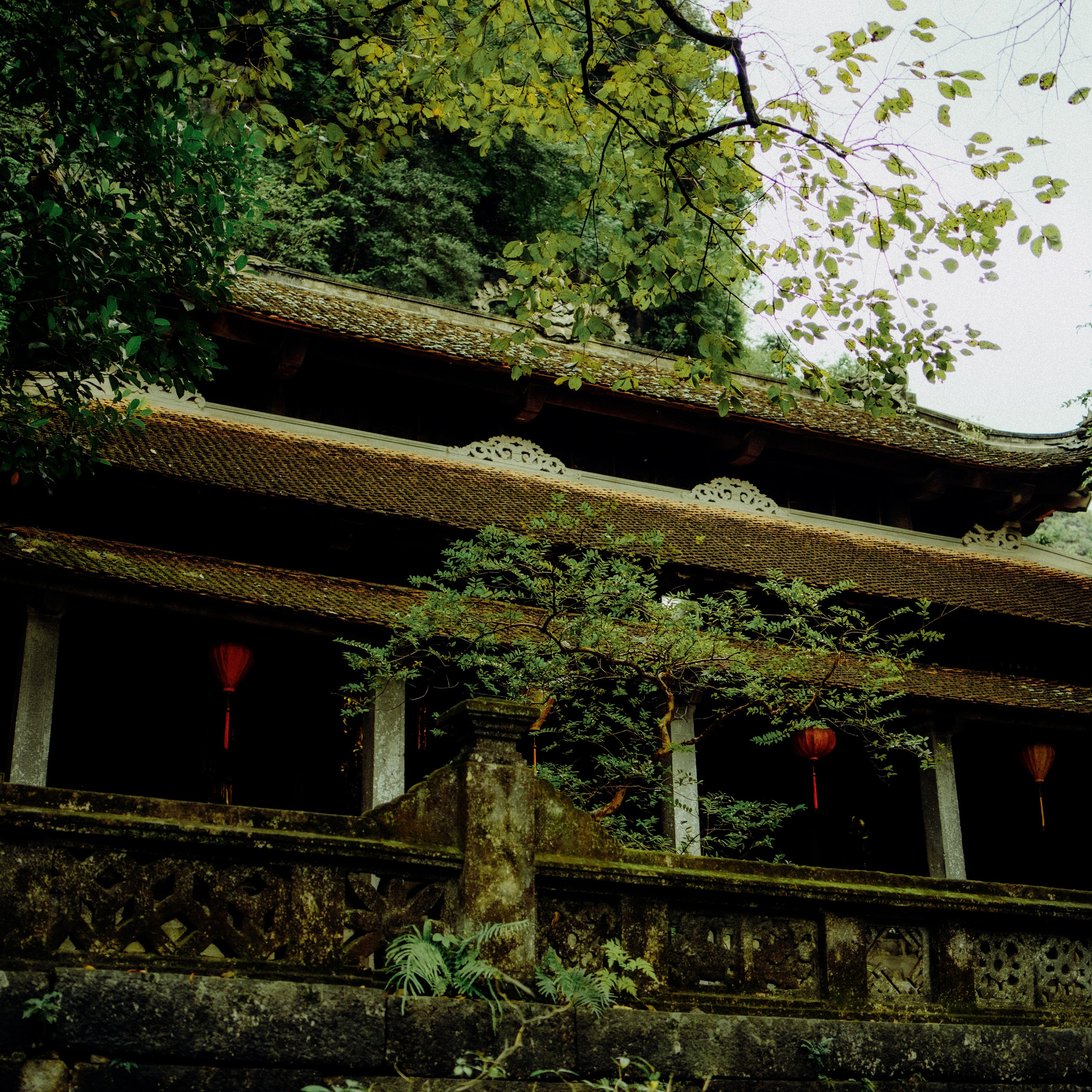 Ninh Binh. Lifestyle and wedding photographer in Dubai Valeria Kikvidze