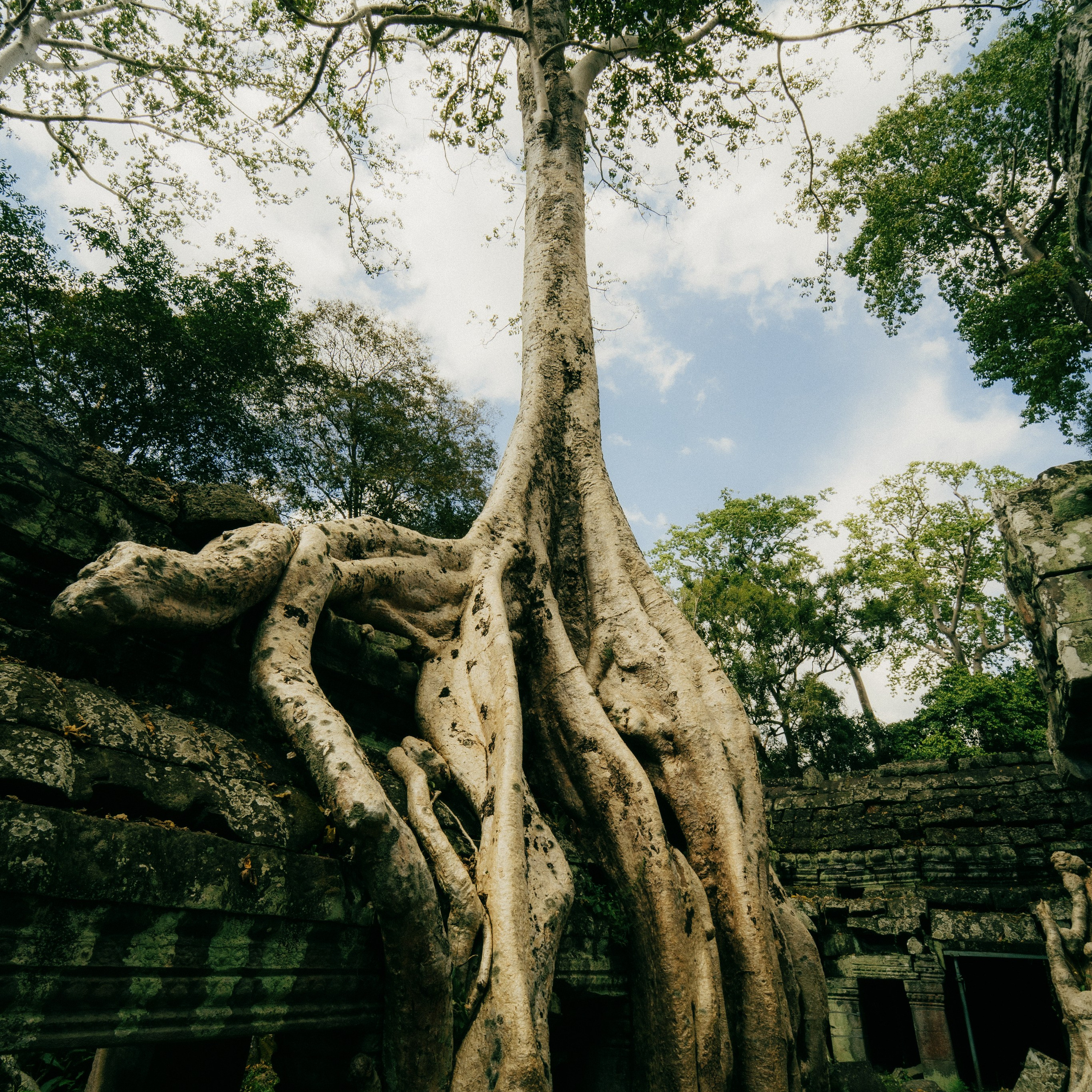 Angkor Wat. Lifestyle and wedding photographer in Dubai Valeria Kikvidze