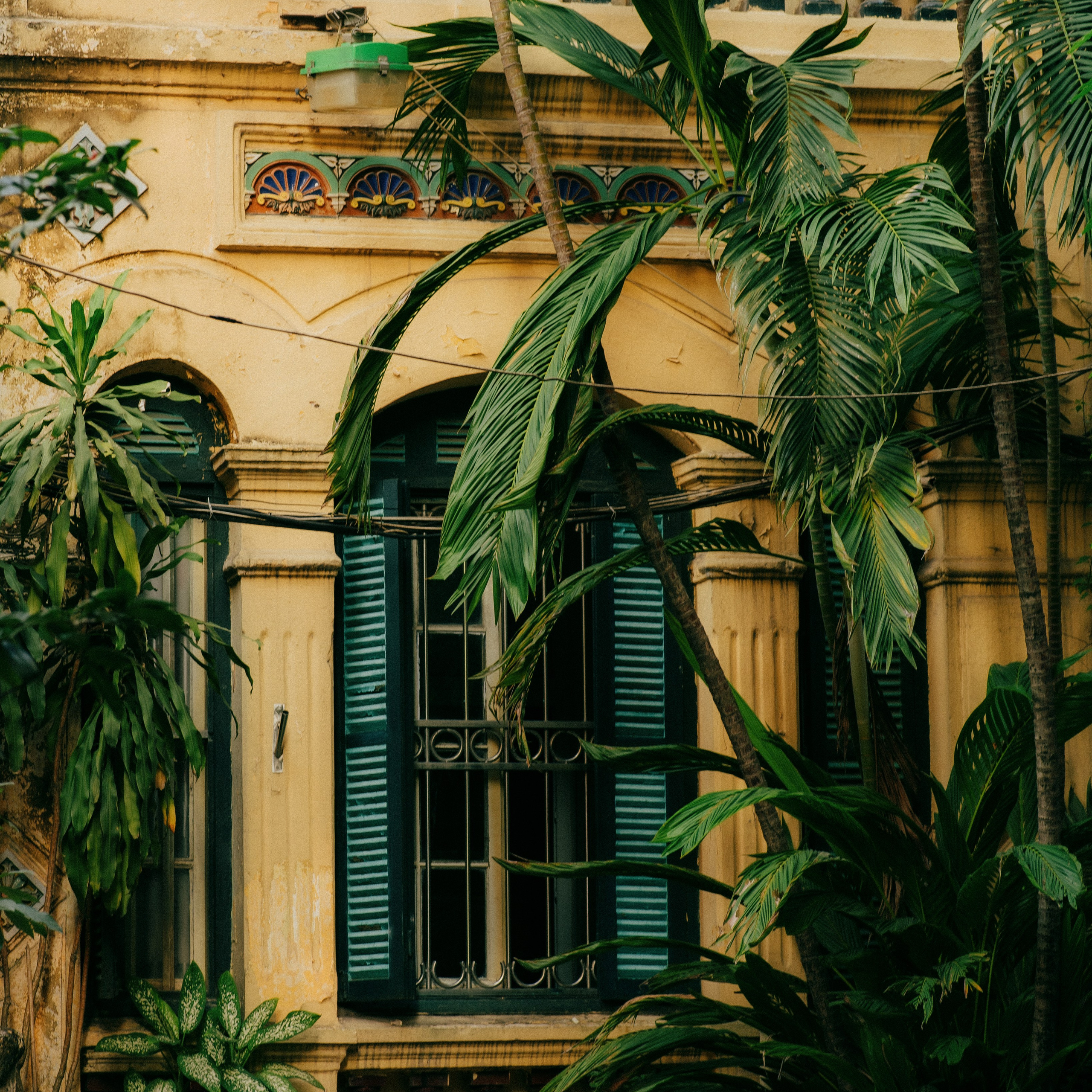 Hanoi. Lifestyle and wedding photographer in Dubai Valeria Kikvidze