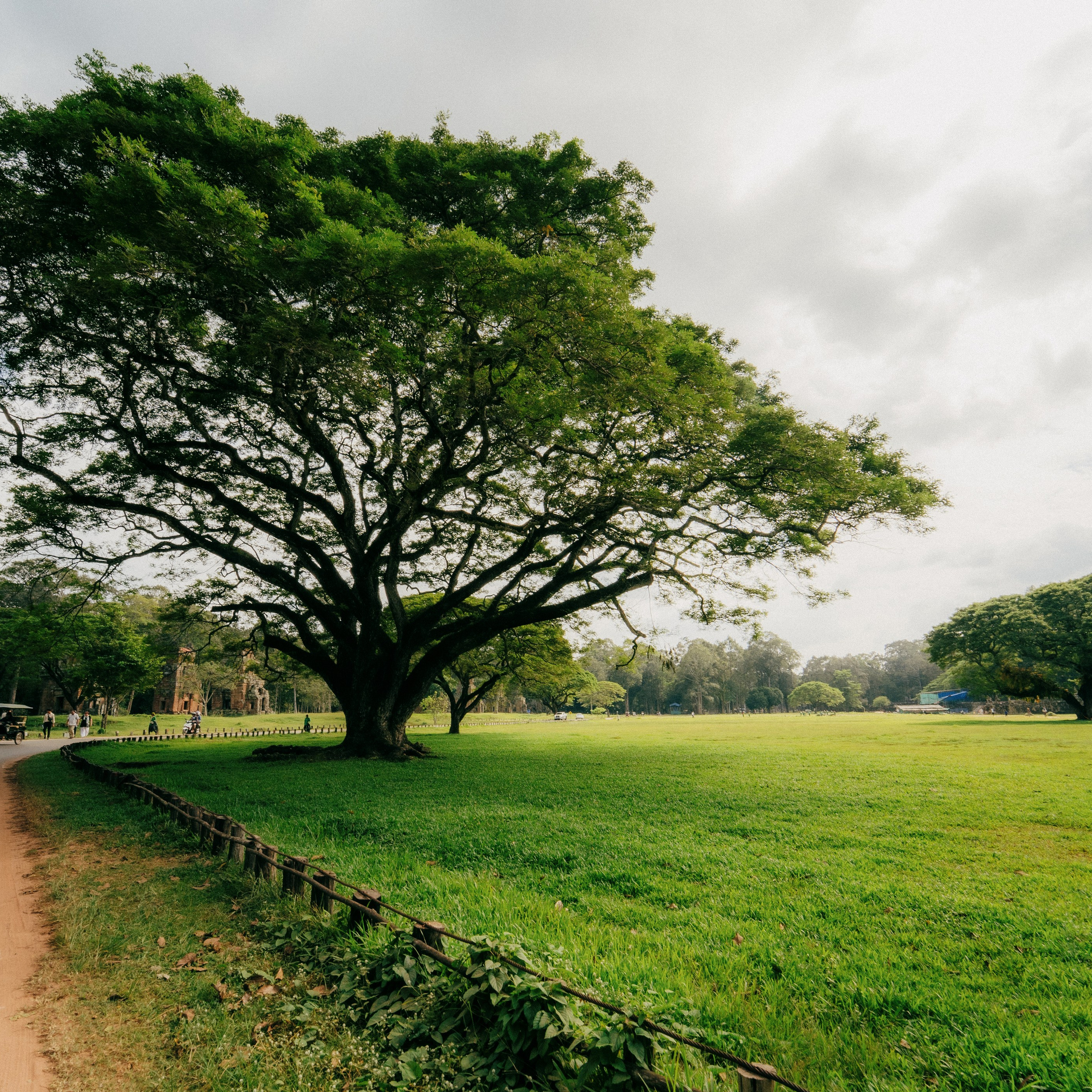 Angkor Wat. Lifestyle and wedding photographer in Dubai Valeria Kikvidze