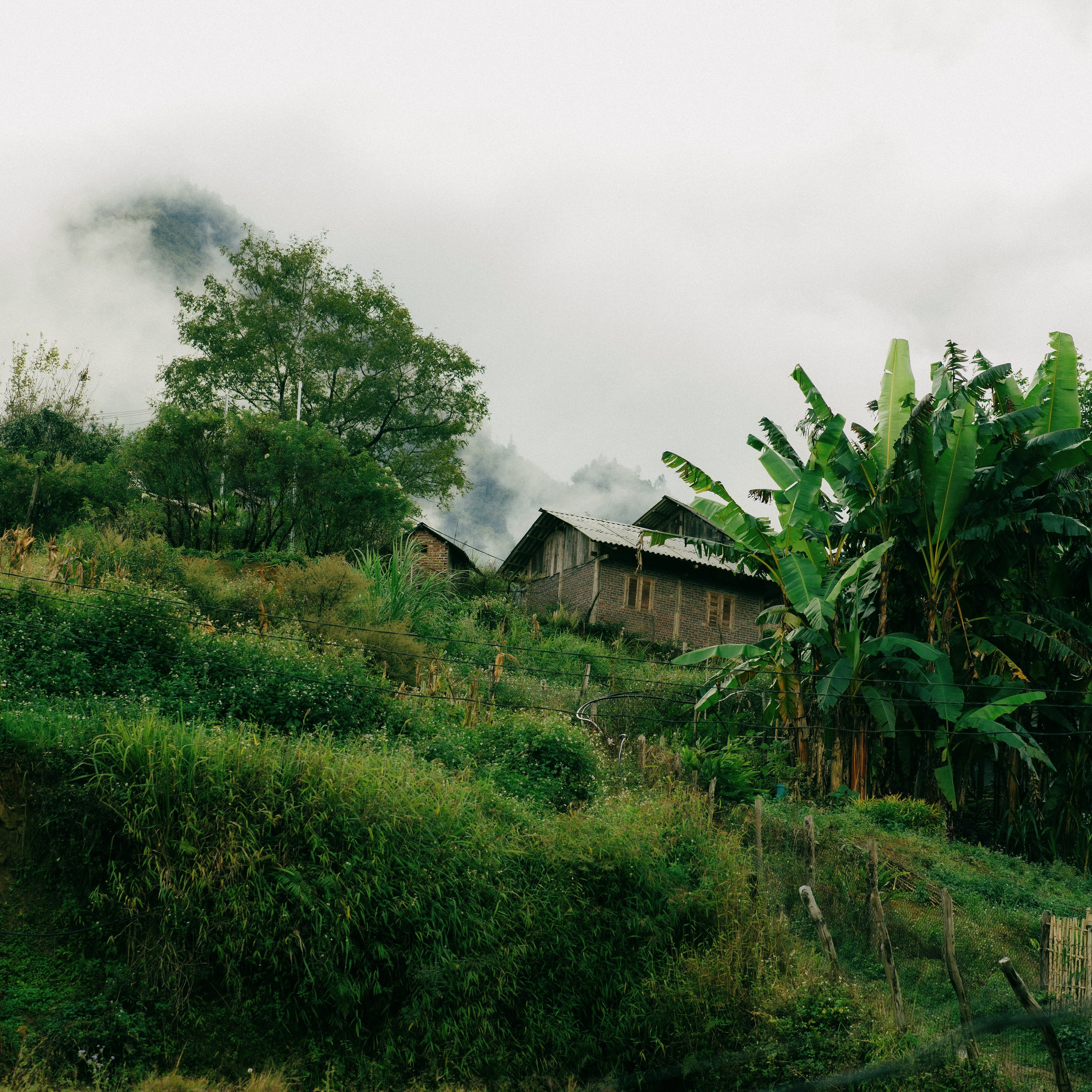 Ninh Binh. Lifestyle and wedding photographer in Dubai Valeria Kikvidze