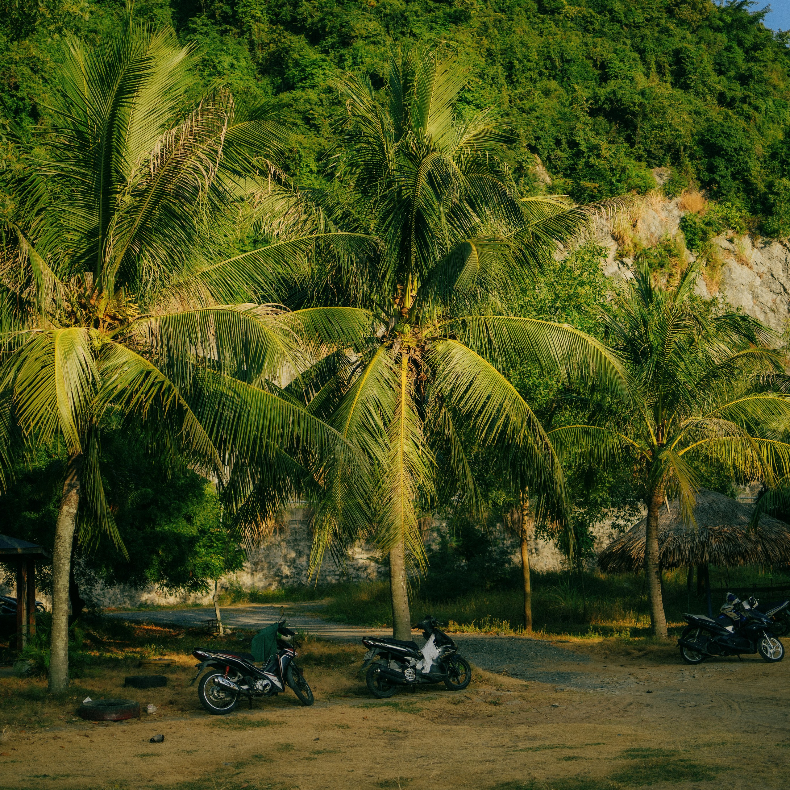 Cat Ba. Lifestyle and wedding photographer in Dubai Valeria Kikvidze