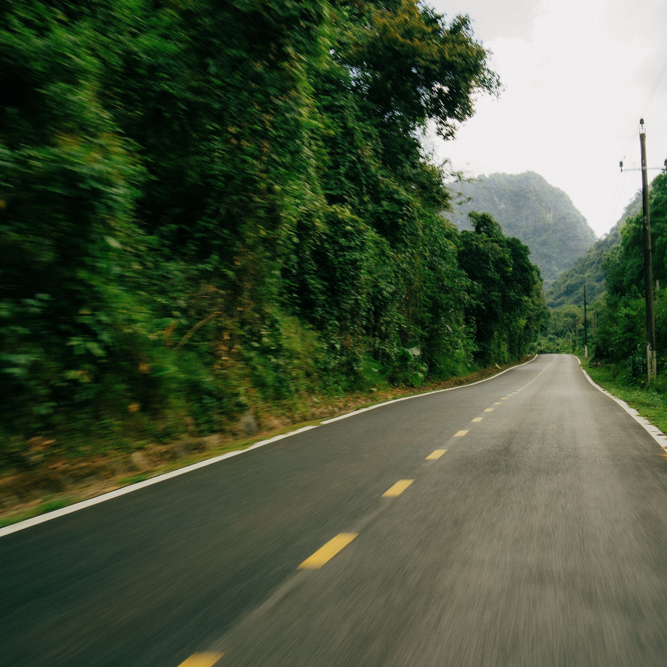 Cat Ba. Lifestyle and wedding photographer in Dubai Valeria Kikvidze