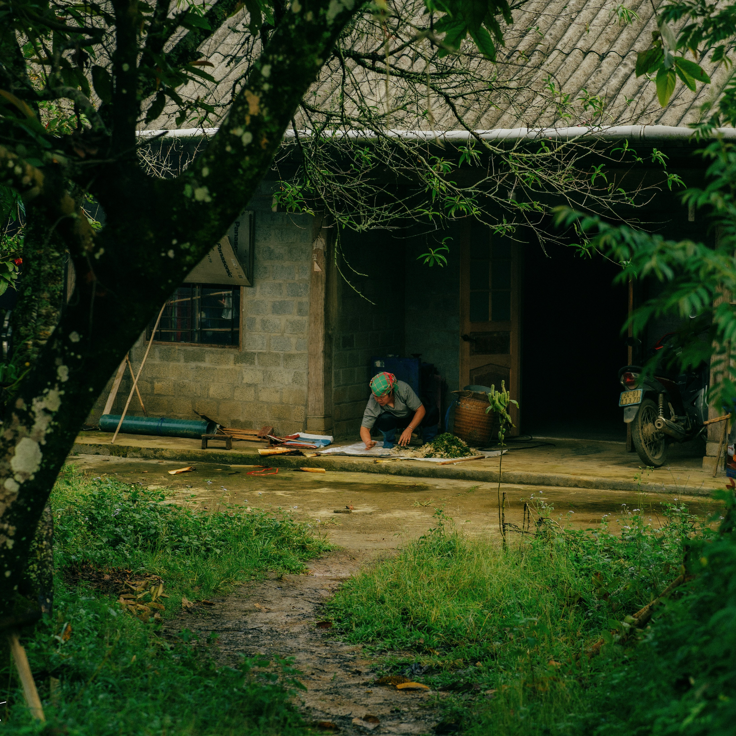 Ninh Binh. Lifestyle and wedding photographer in Dubai Valeria Kikvidze