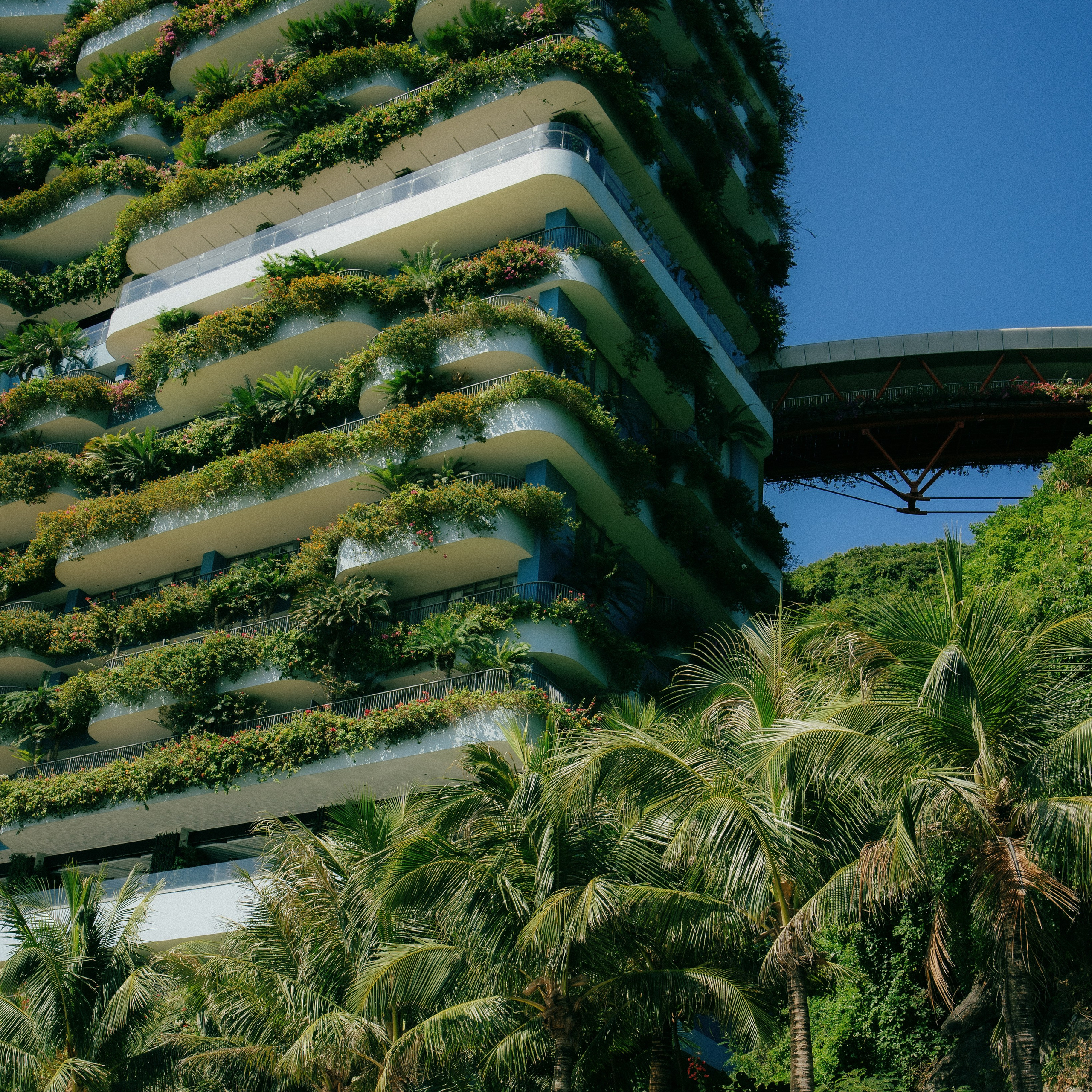 Cat Ba. Lifestyle and wedding photographer in Dubai Valeria Kikvidze