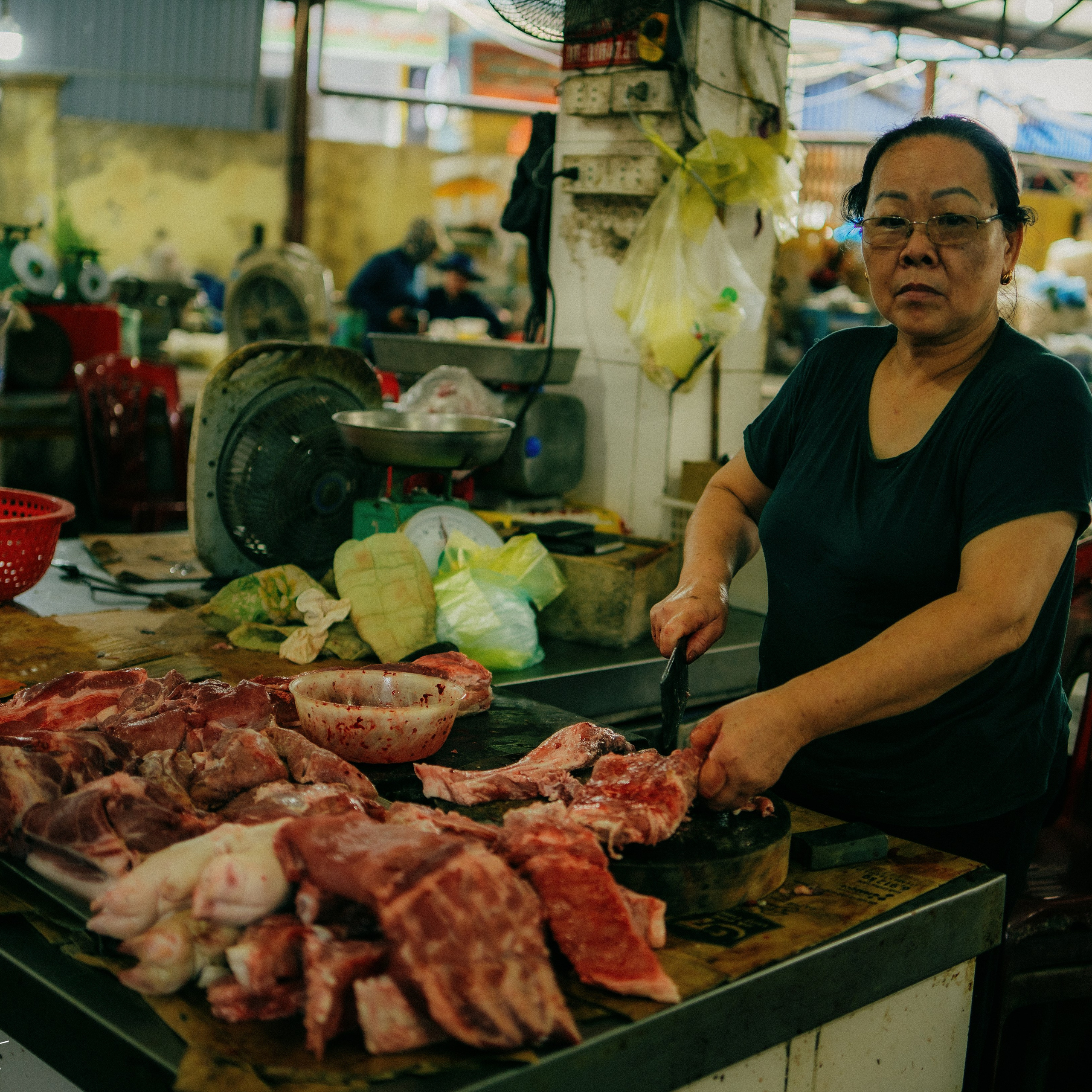 Cat Ba. Lifestyle and wedding photographer in Dubai Valeria Kikvidze